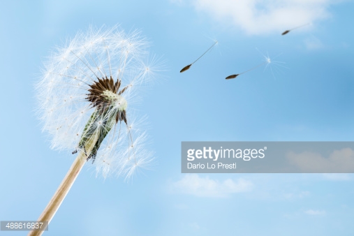 Photo by Dario Lo Presti/iStock / Getty Images