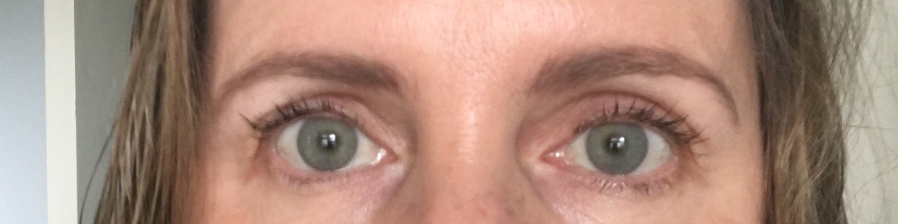 Here is a finished look - NOT TOO made up, a nice natural day time look that adds highlight without being TOO intense. - The NO Make, Up Make Up!!!