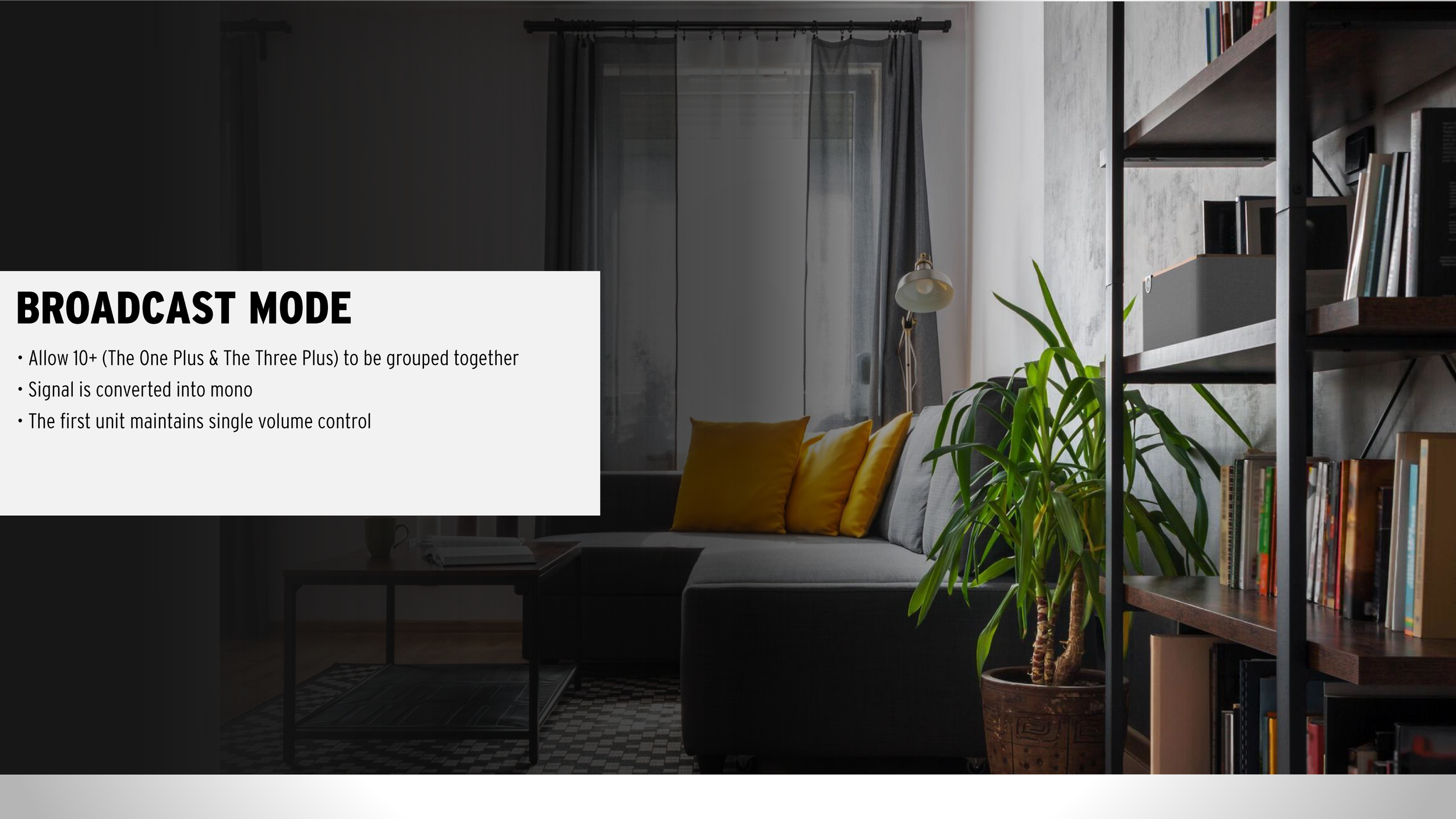 The One Plus_Content-07.png