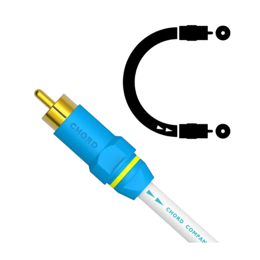 Digital RCA_Content-01.png