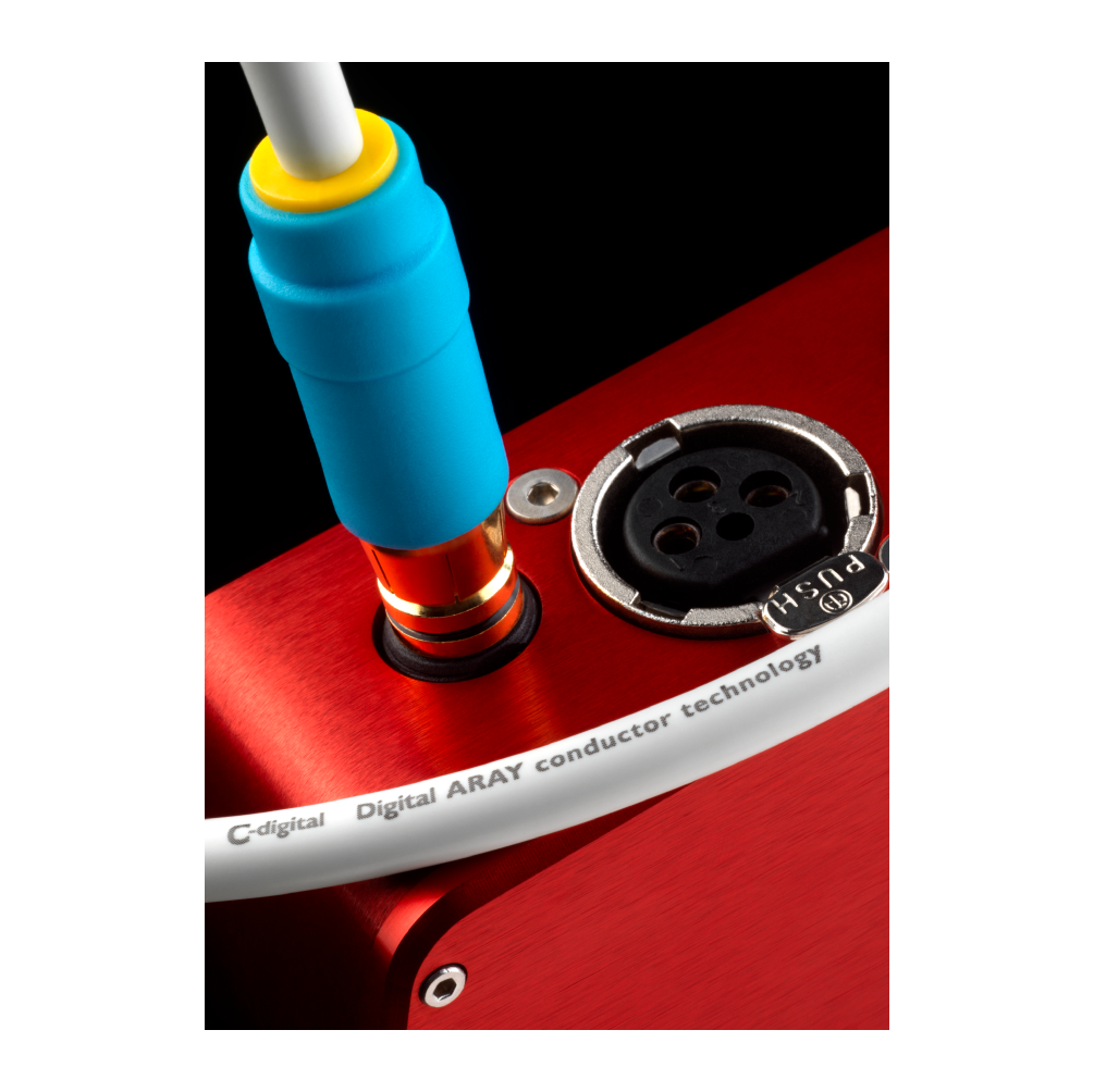 Digital RCA_Content-03.png