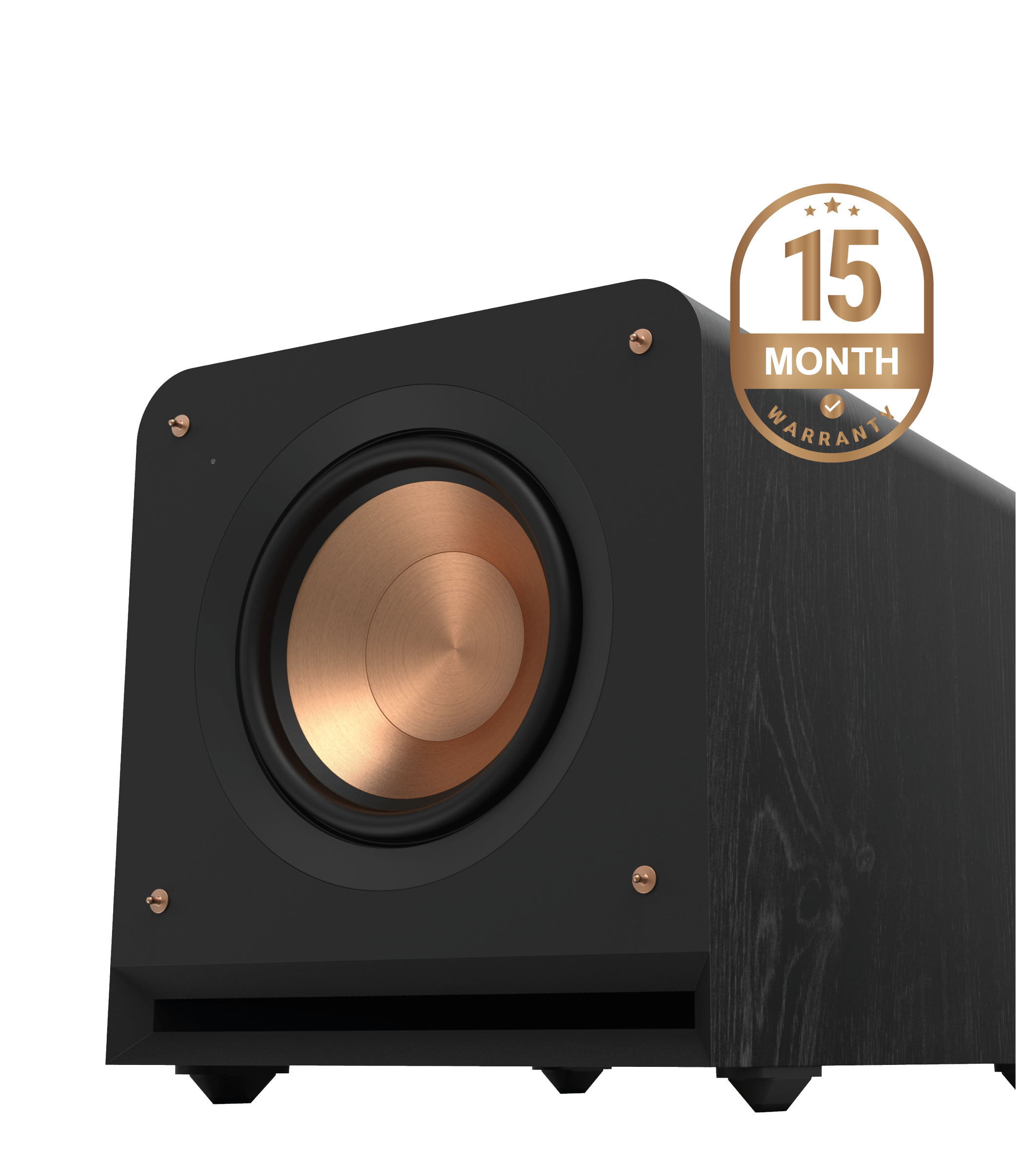 RP-1000SW 10" High Excursion Subwoofer