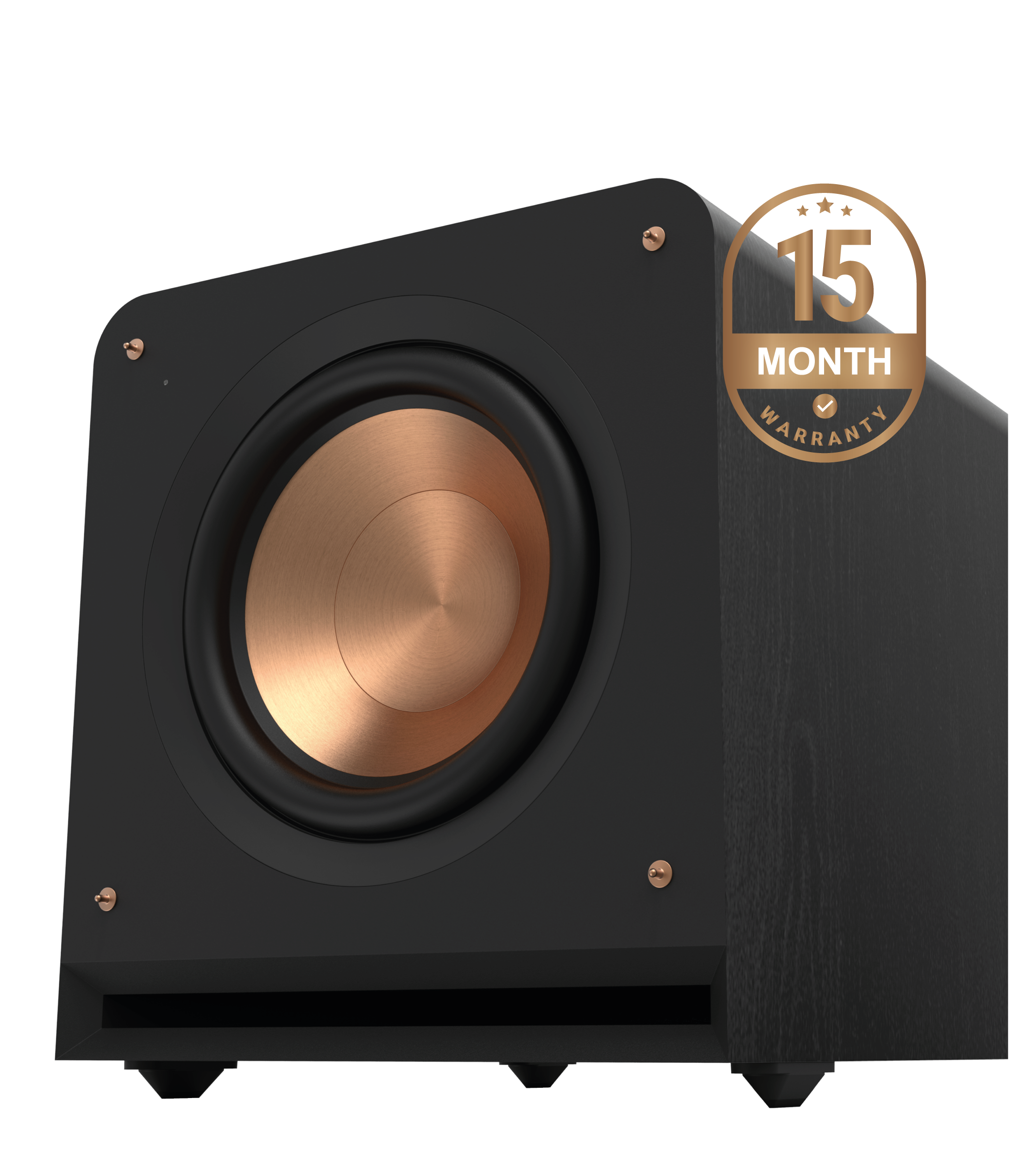 RP-1200SW 12" High Excursion Subwoofer