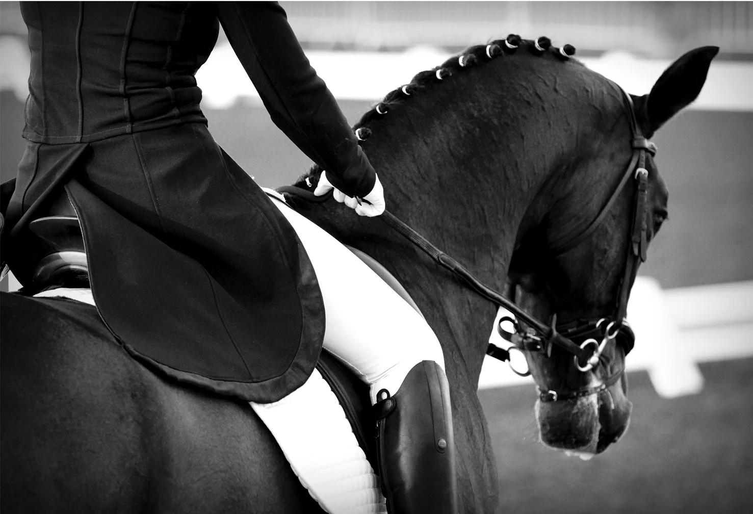 Competitions 4.JPG low res.JPG