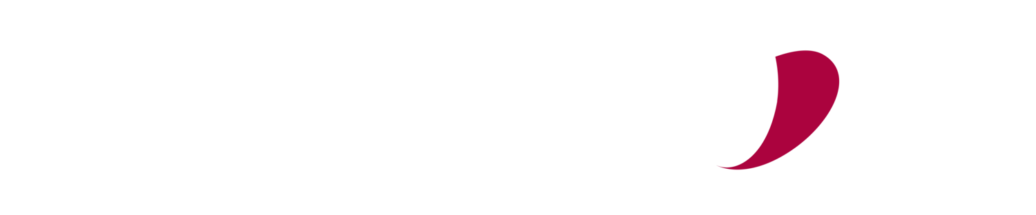 Westminster Wealth Management