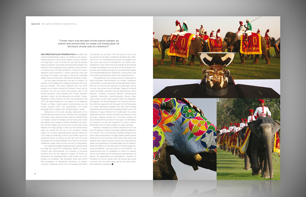 AE_examples_of_pages_gallery_copyright_ChrizPhotography.se_J&W_6.jpg