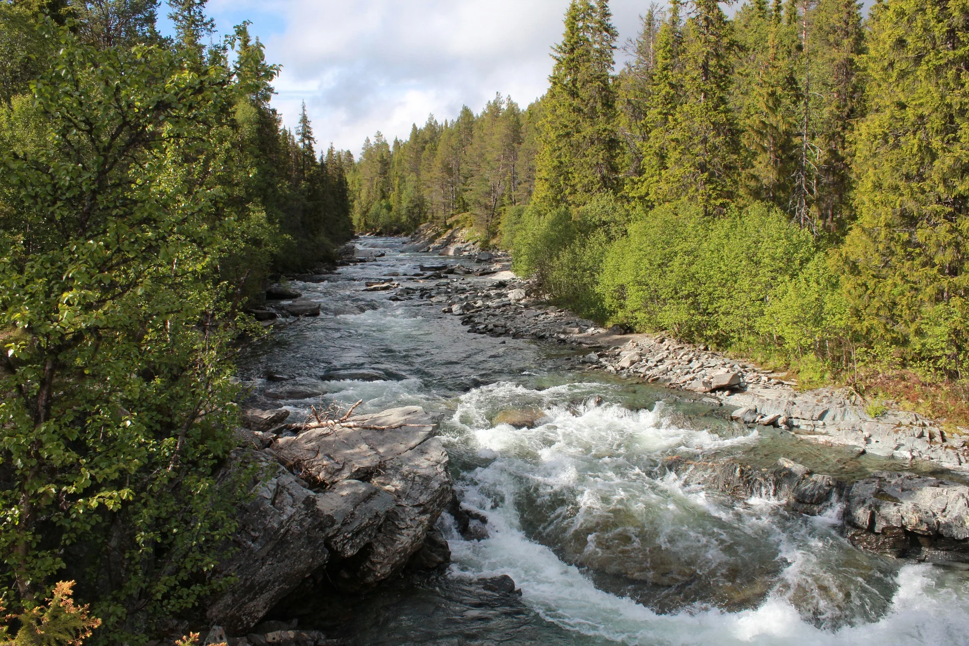 nature-1145531_1920.jpg