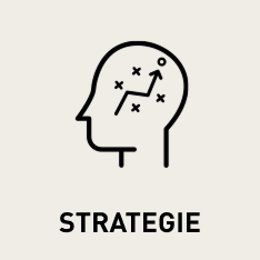 BB_website_icon_strategie.png