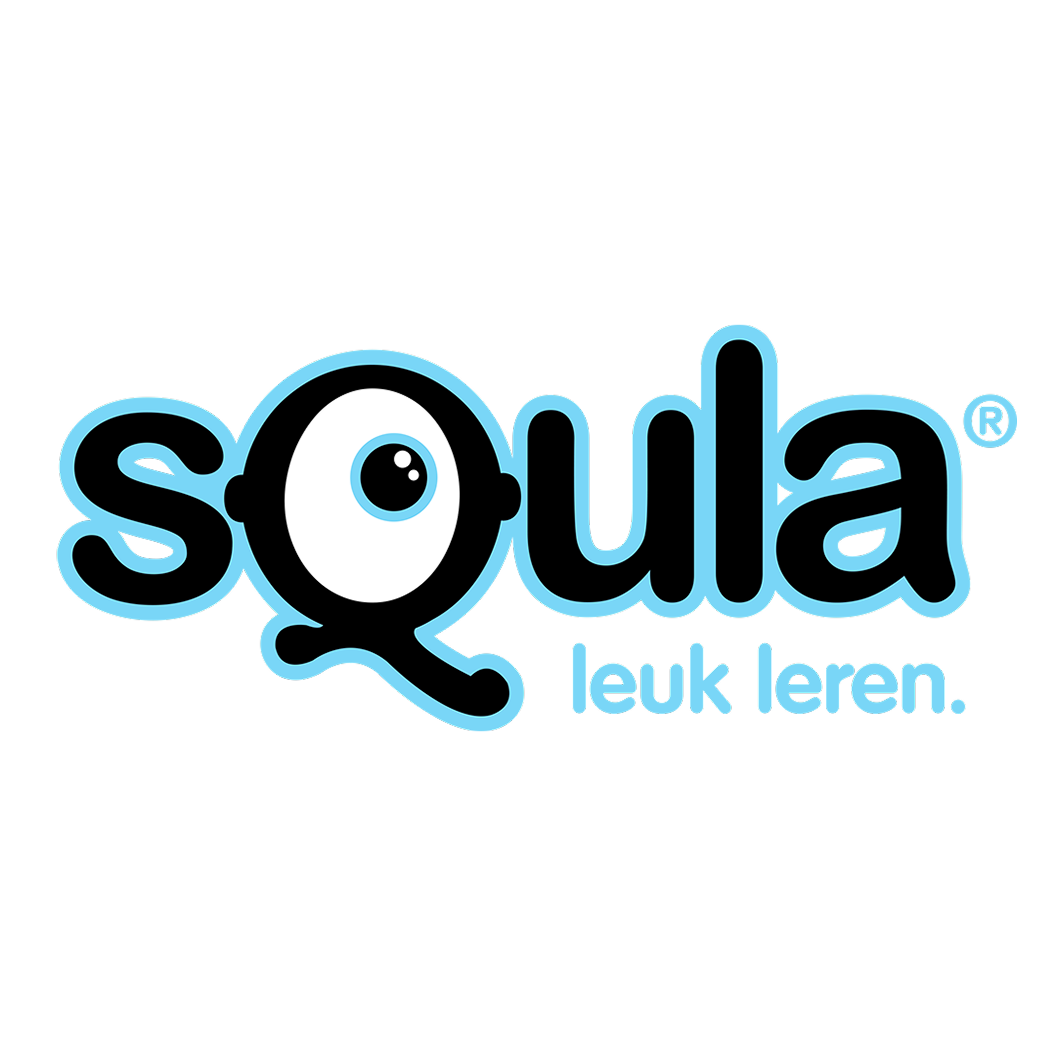 BB_case_squla.png