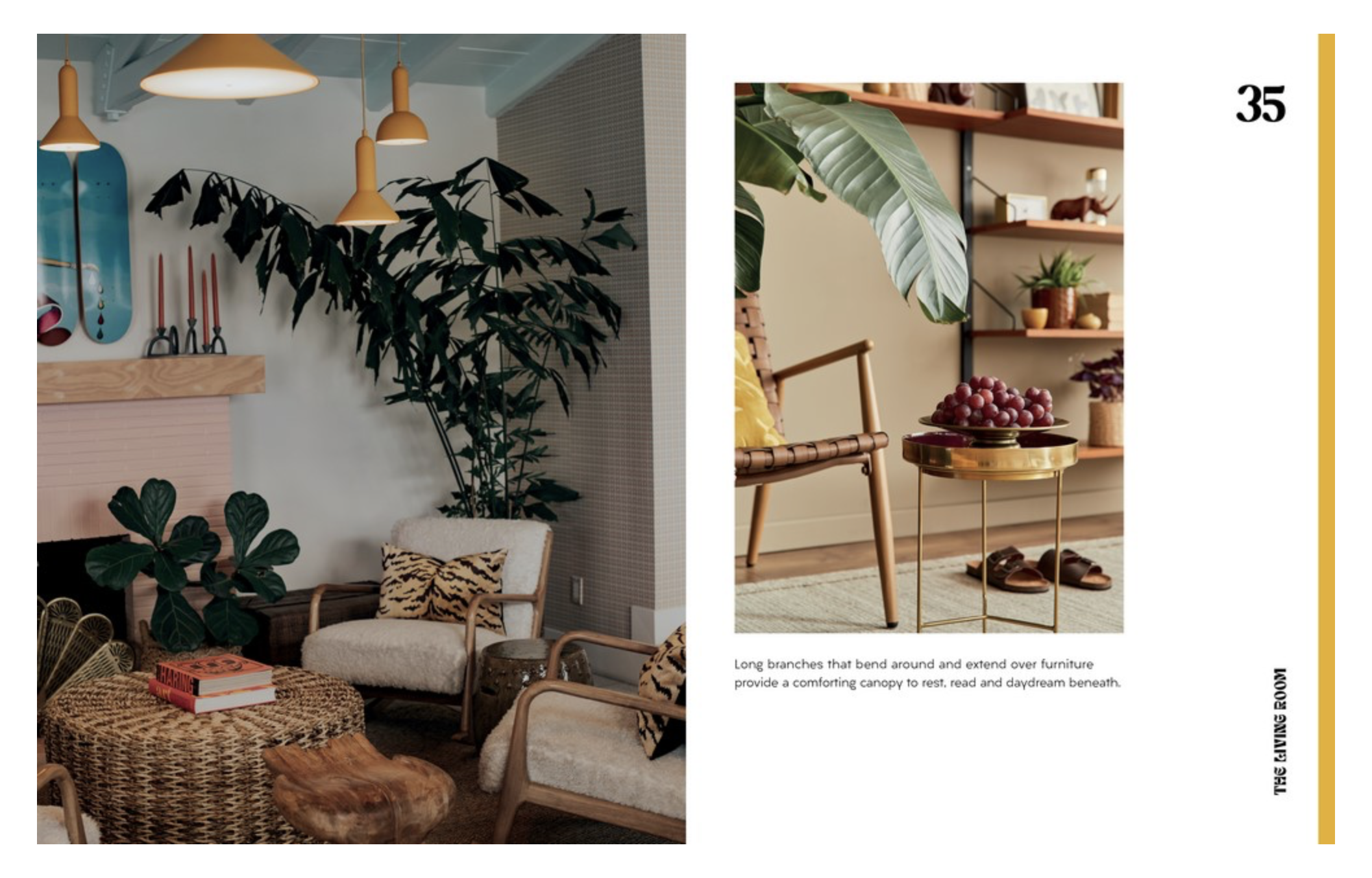 https://www.elodies.au/buy-gifts-elodies-camden-sydney/p/plant-house-hardie-grant-books