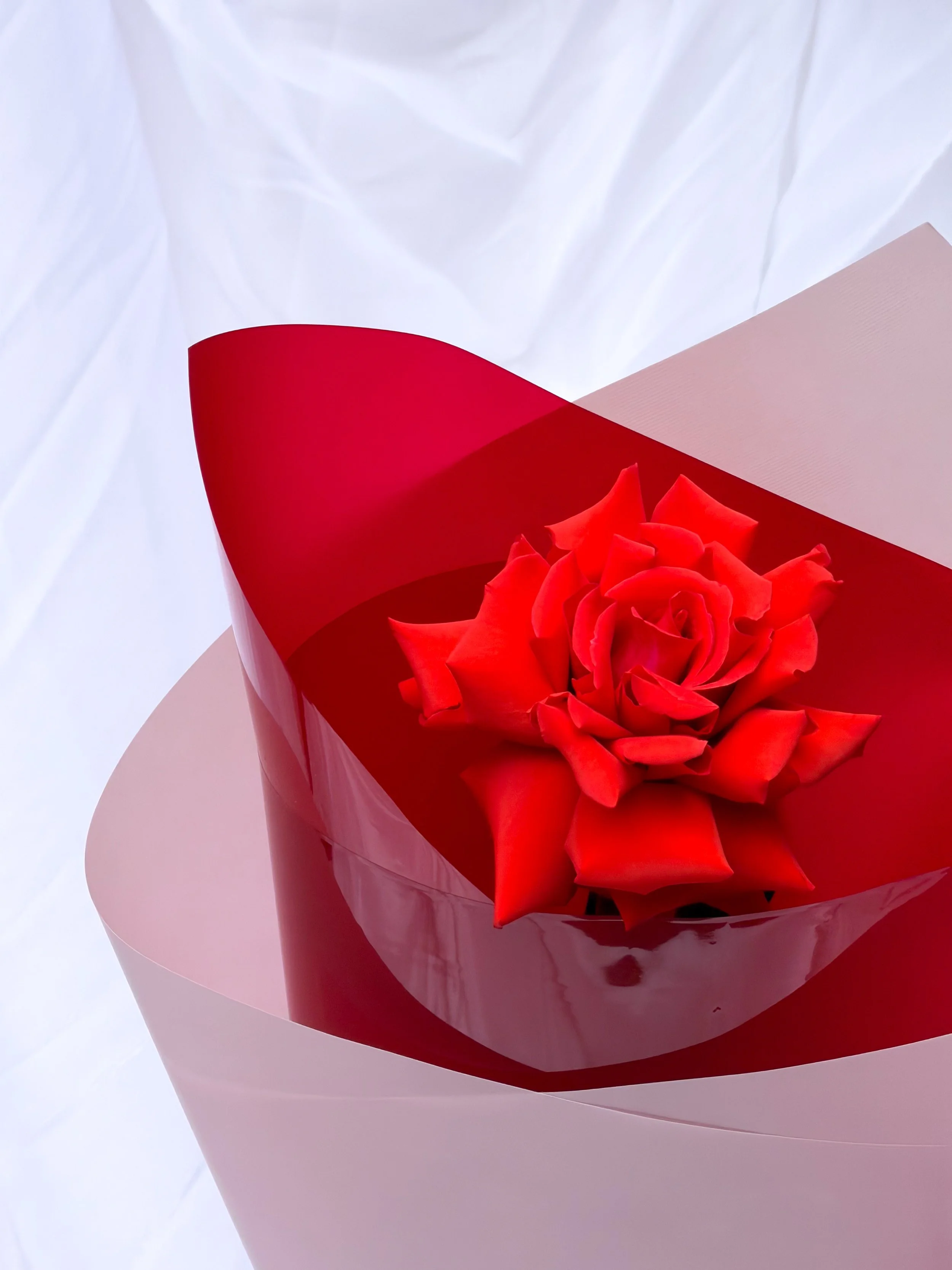 VALENTINE'S  ADDITION - Extra Lovin'