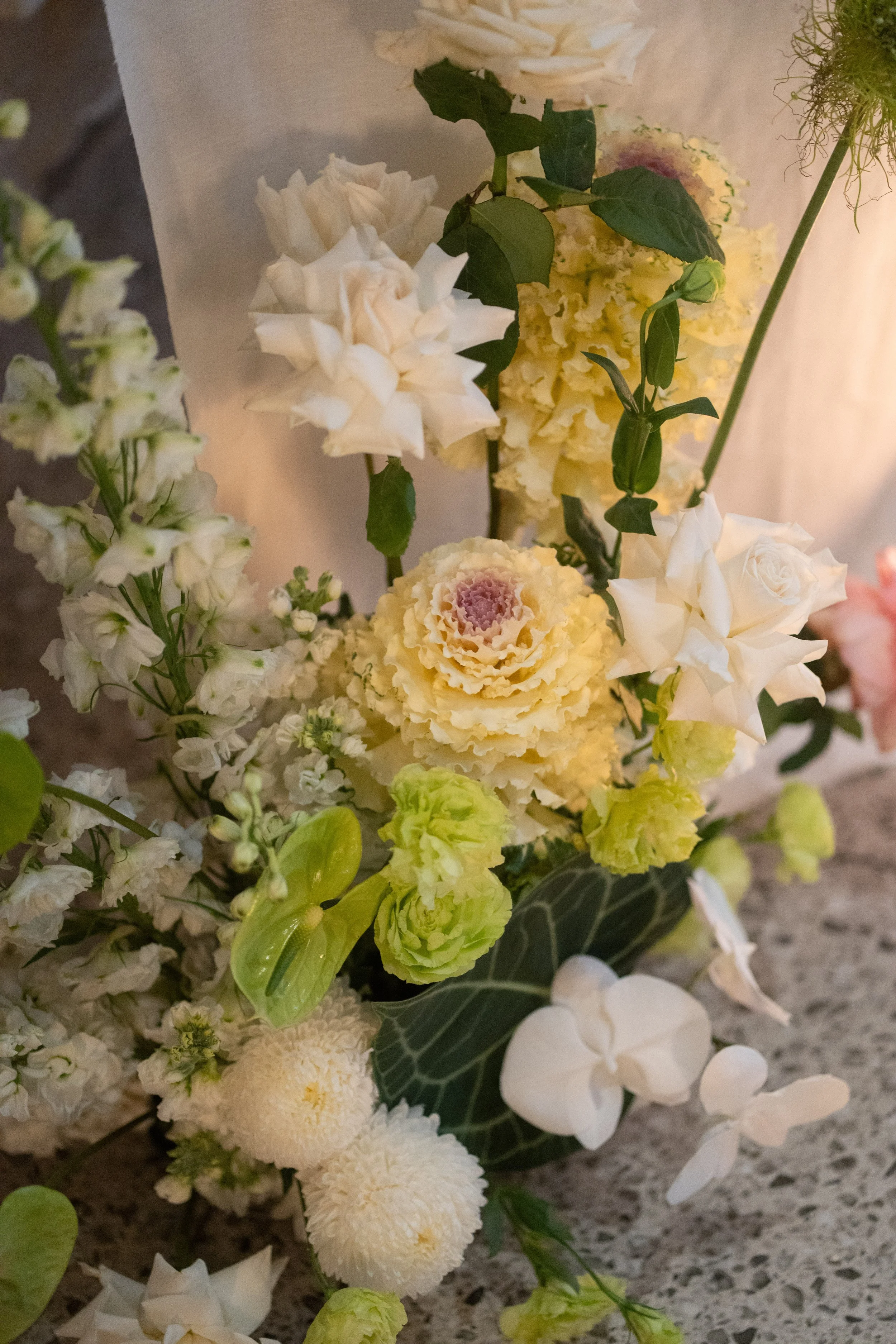 26522 Sasho JPG (1301).jpg
