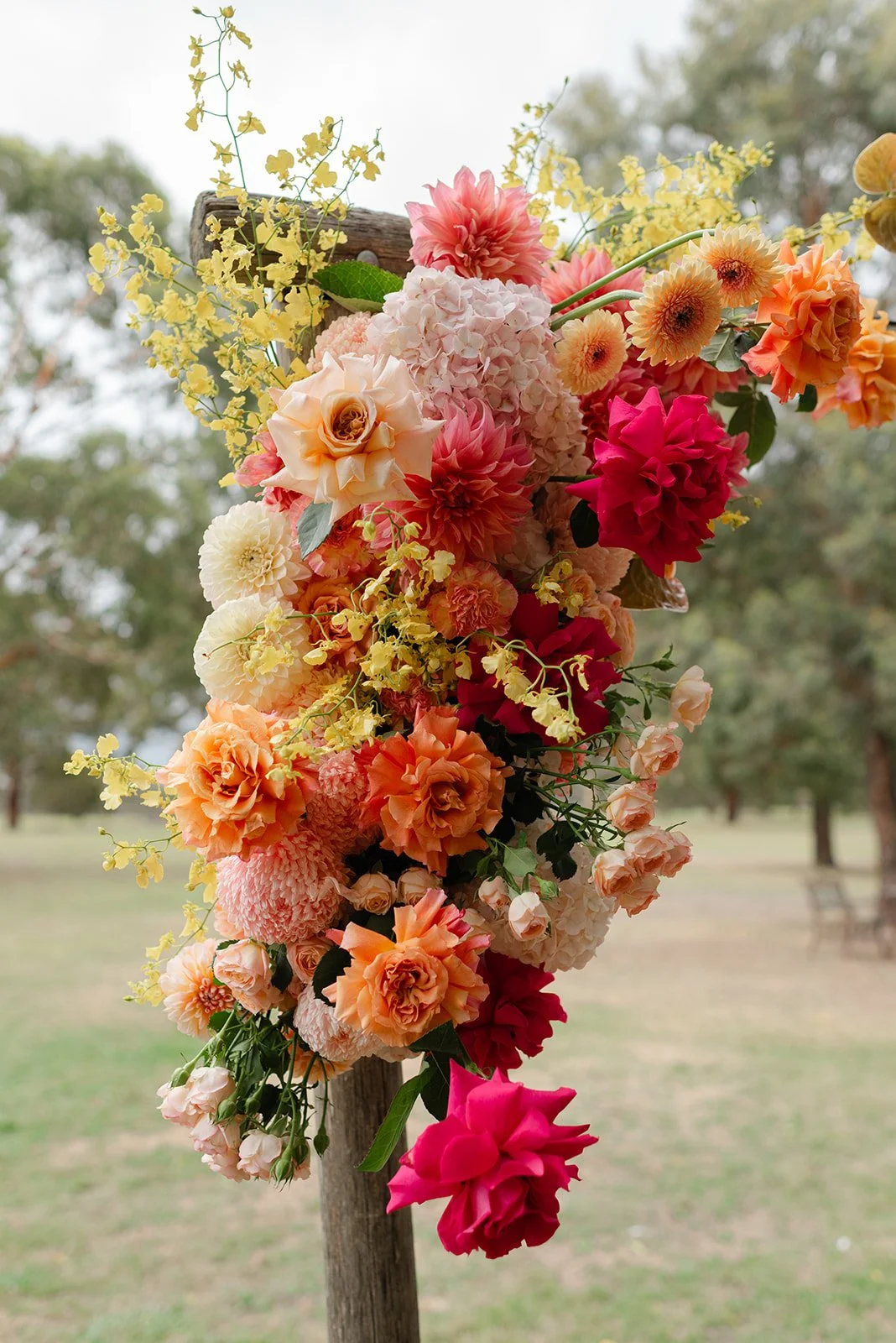 Olivia & Alex-437.jpg