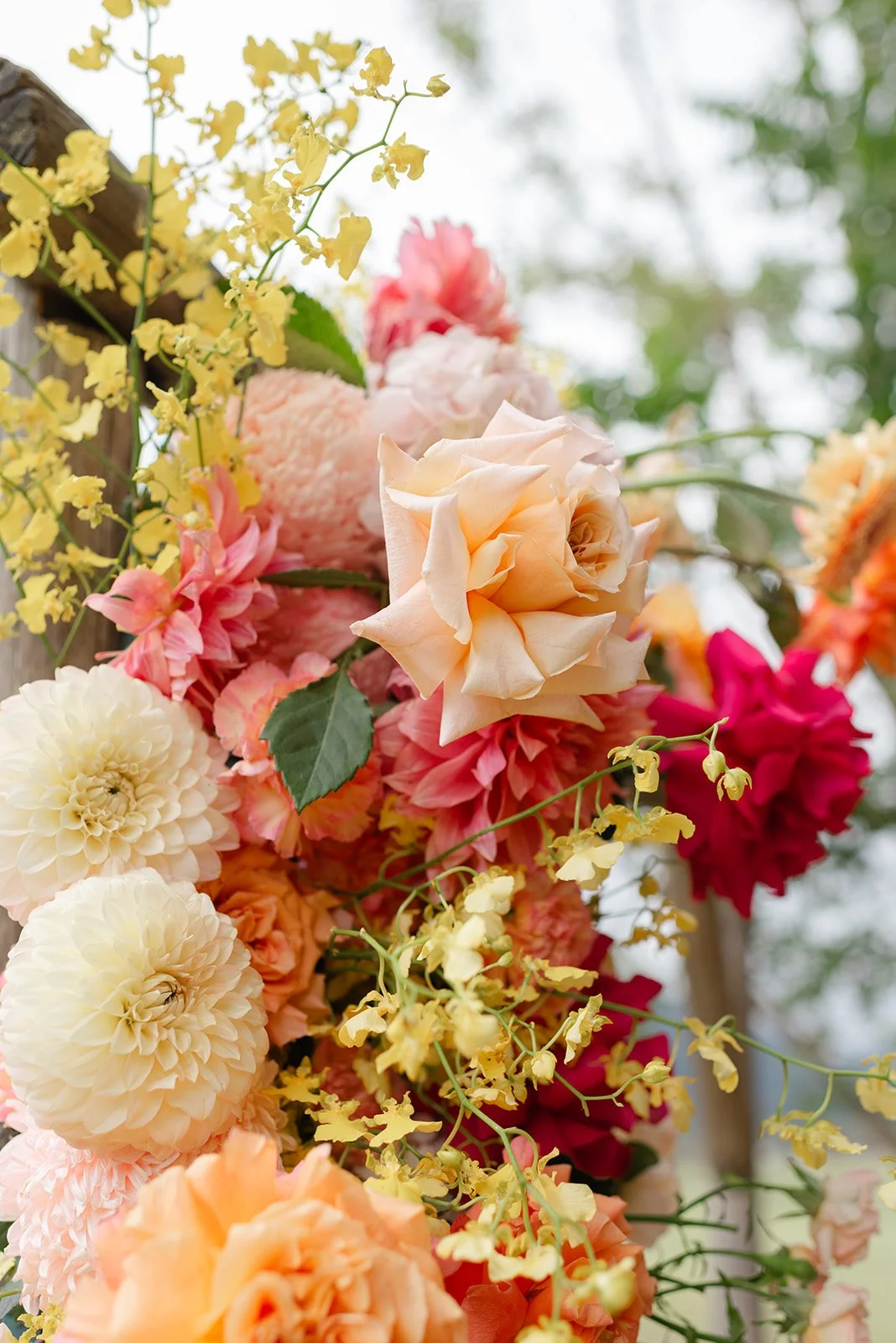 Olivia & Alex-438.jpg