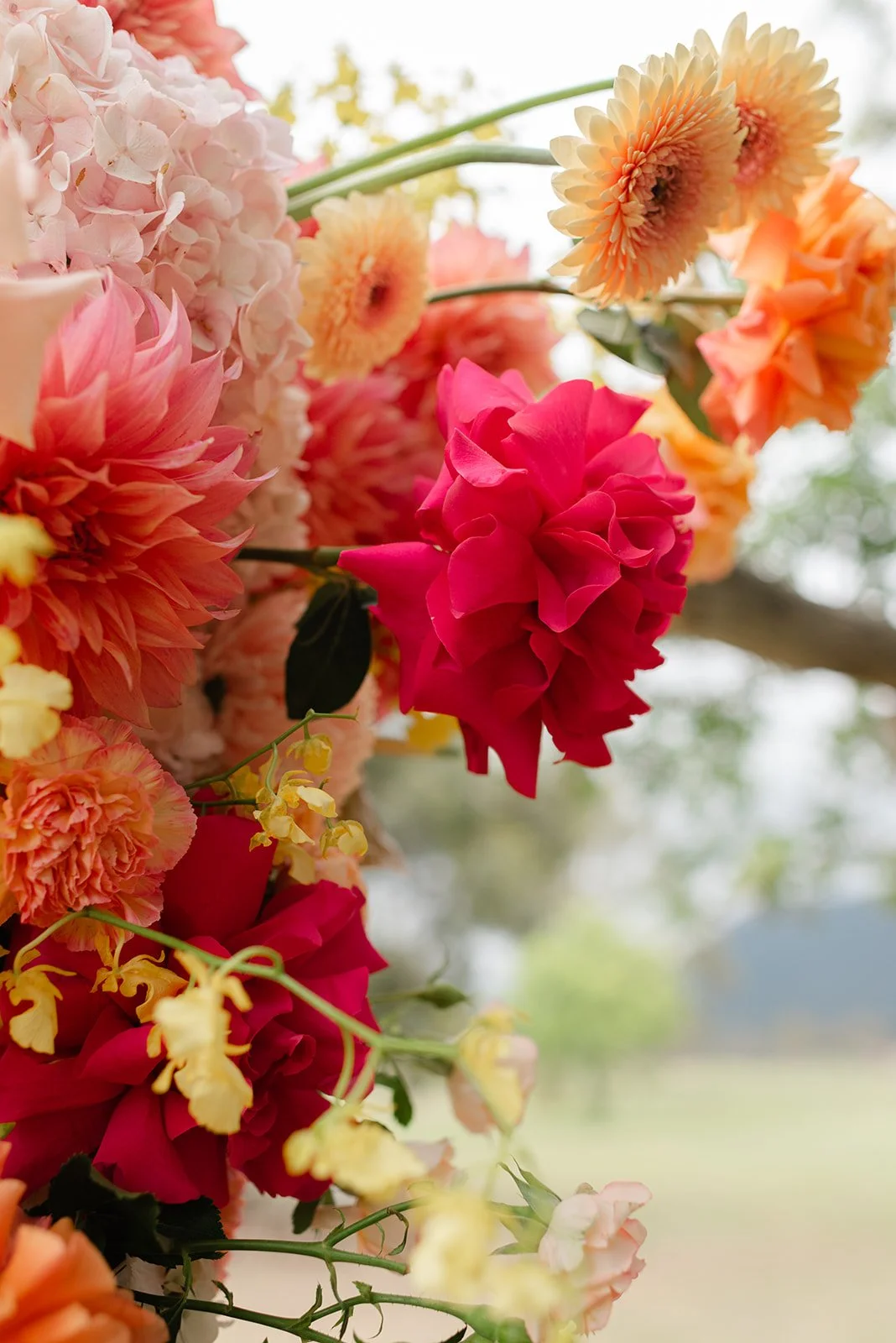 Olivia & Alex-439.jpg