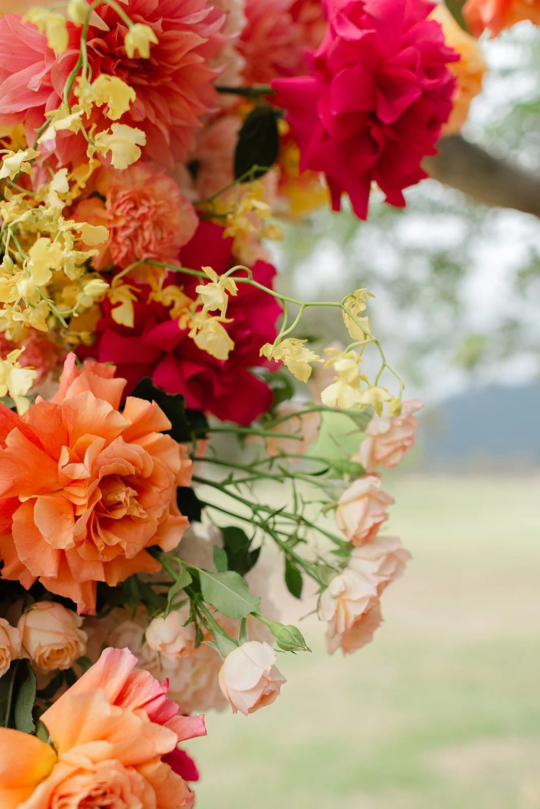 Olivia & Alex-440.jpg