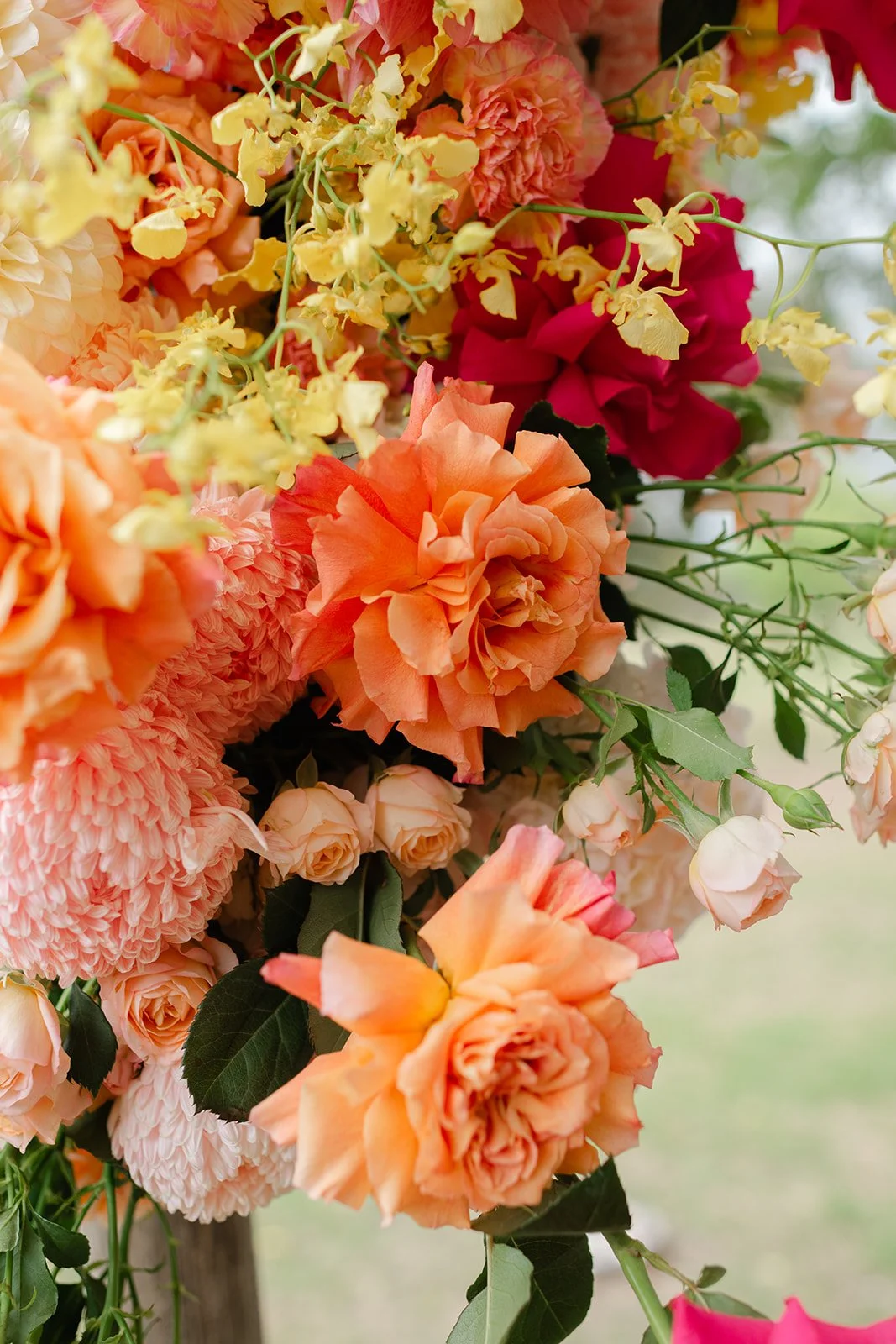 Olivia & Alex-441.jpg