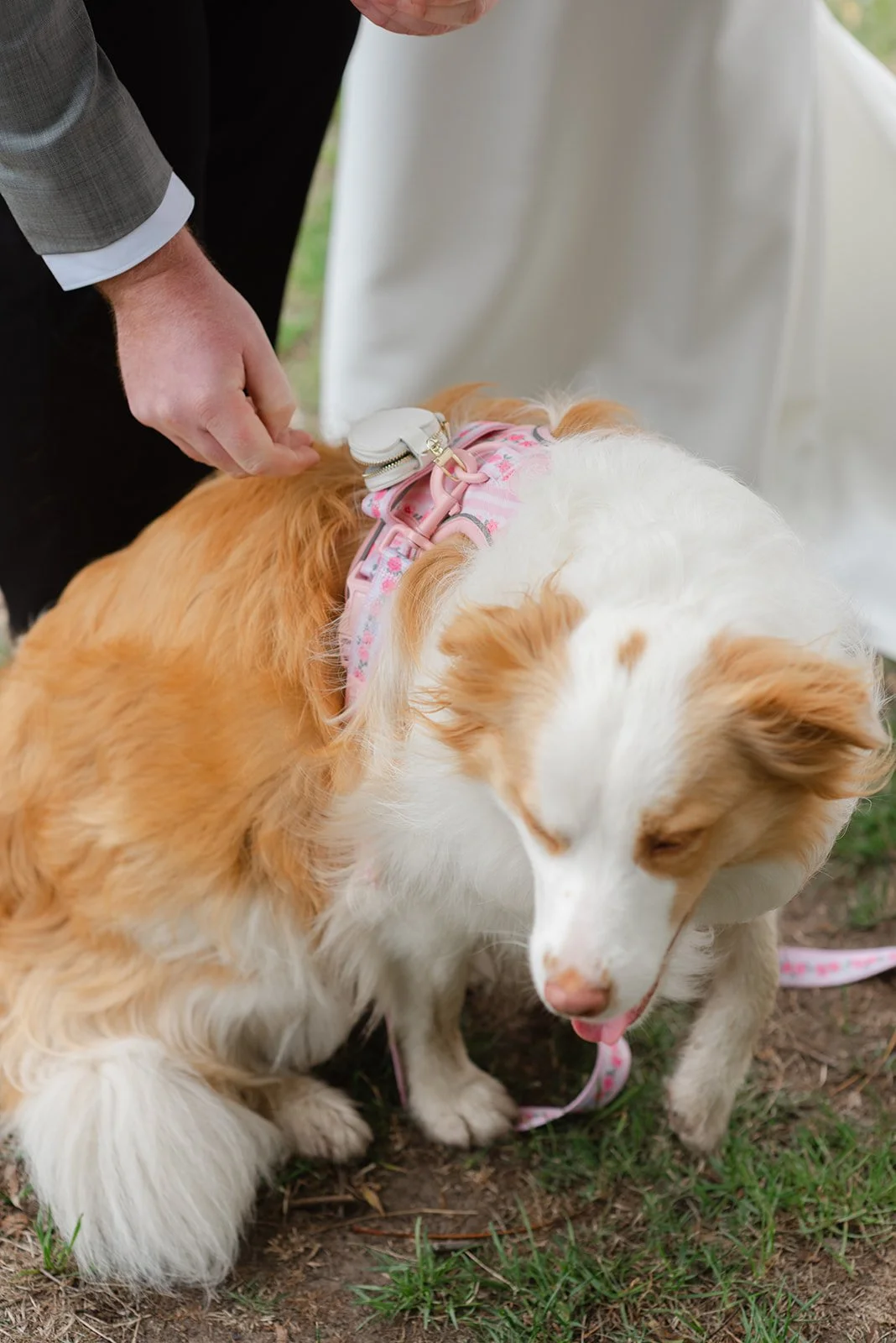 Olivia & Alex-522.jpg