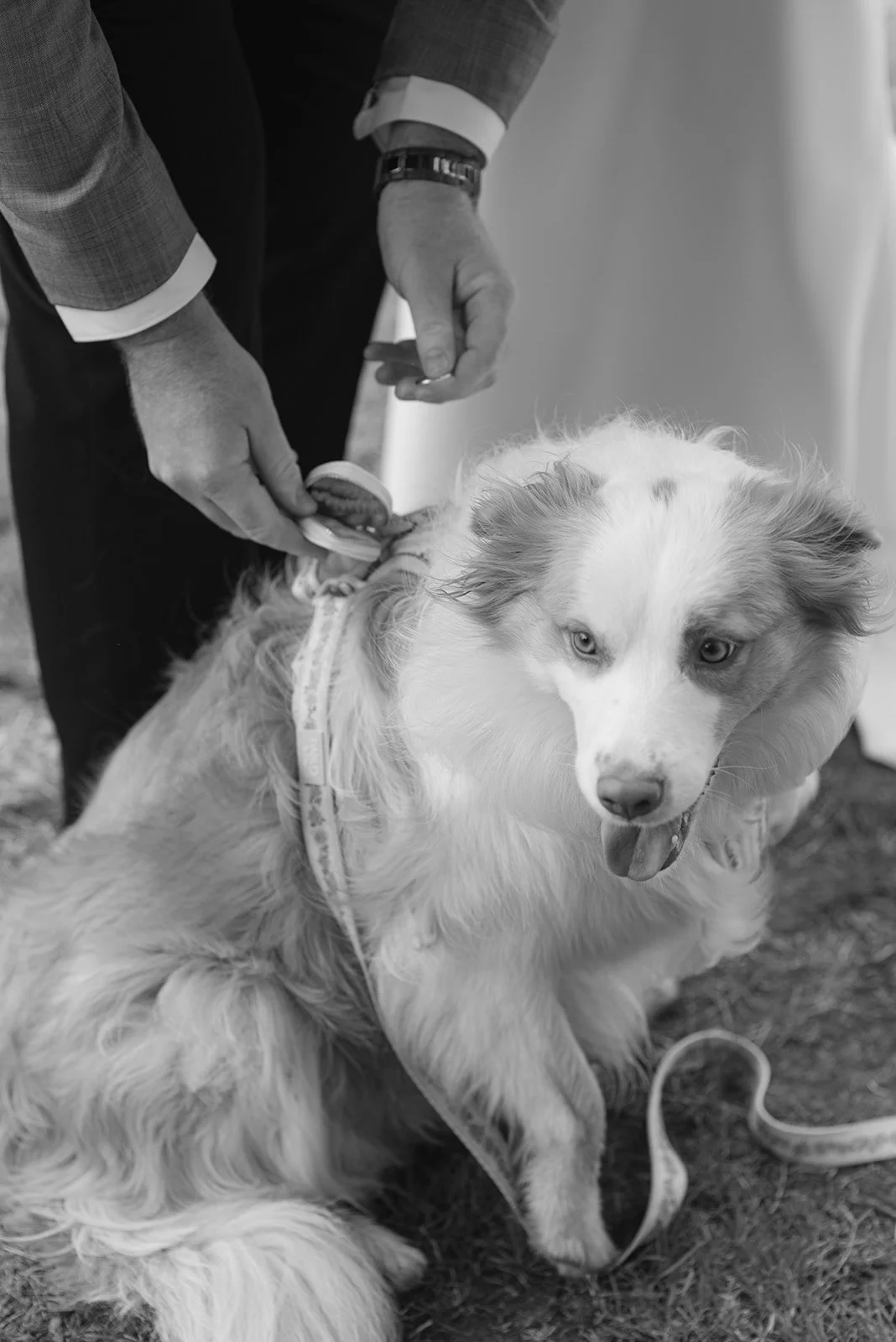 Olivia & Alex-1095.jpg