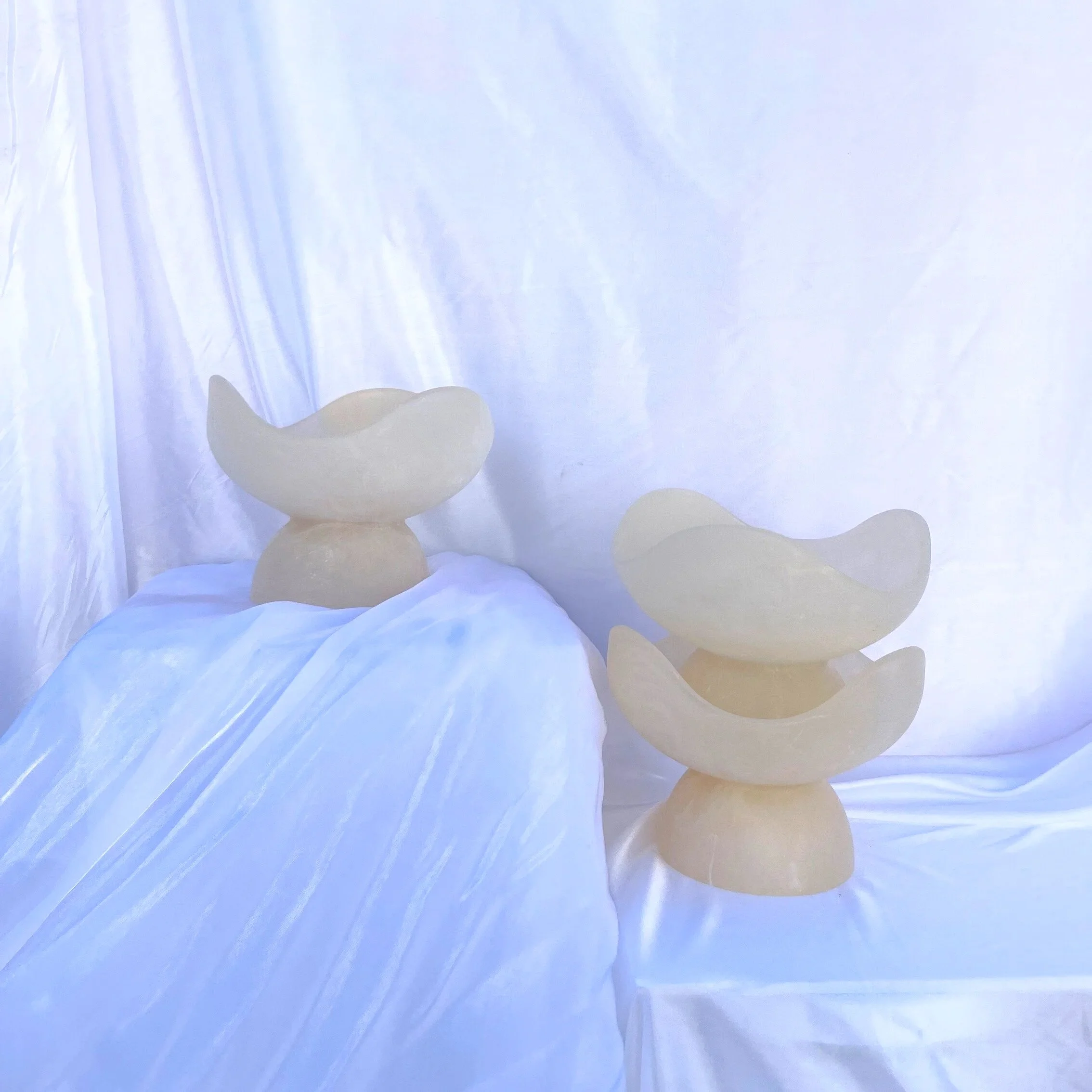 Dinosaur Design Vessel