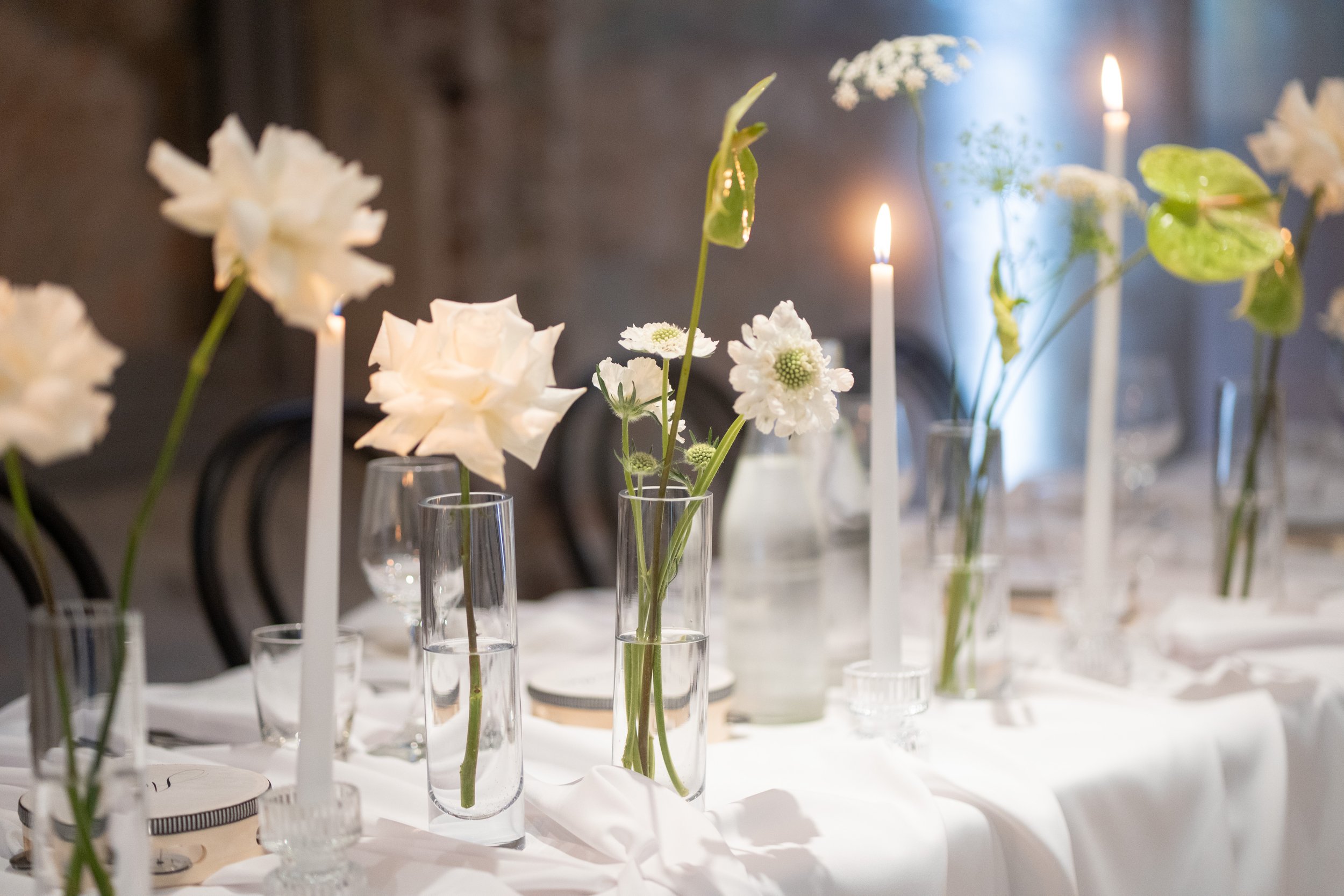 26522 Sasho JPG (1239).jpg