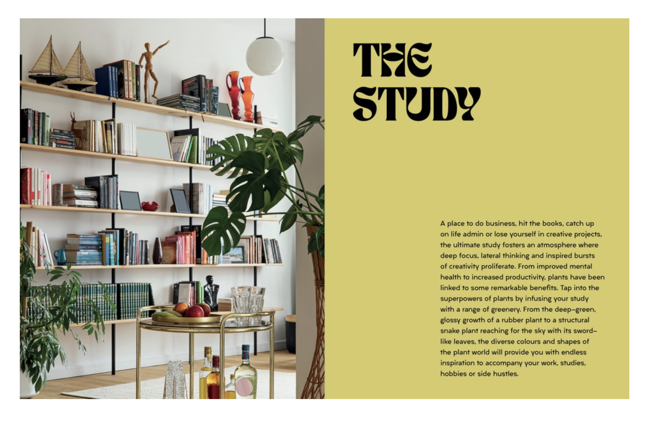 https://www.elodies.au/buy-gifts-elodies-camden-sydney/p/plant-house-hardie-grant-books