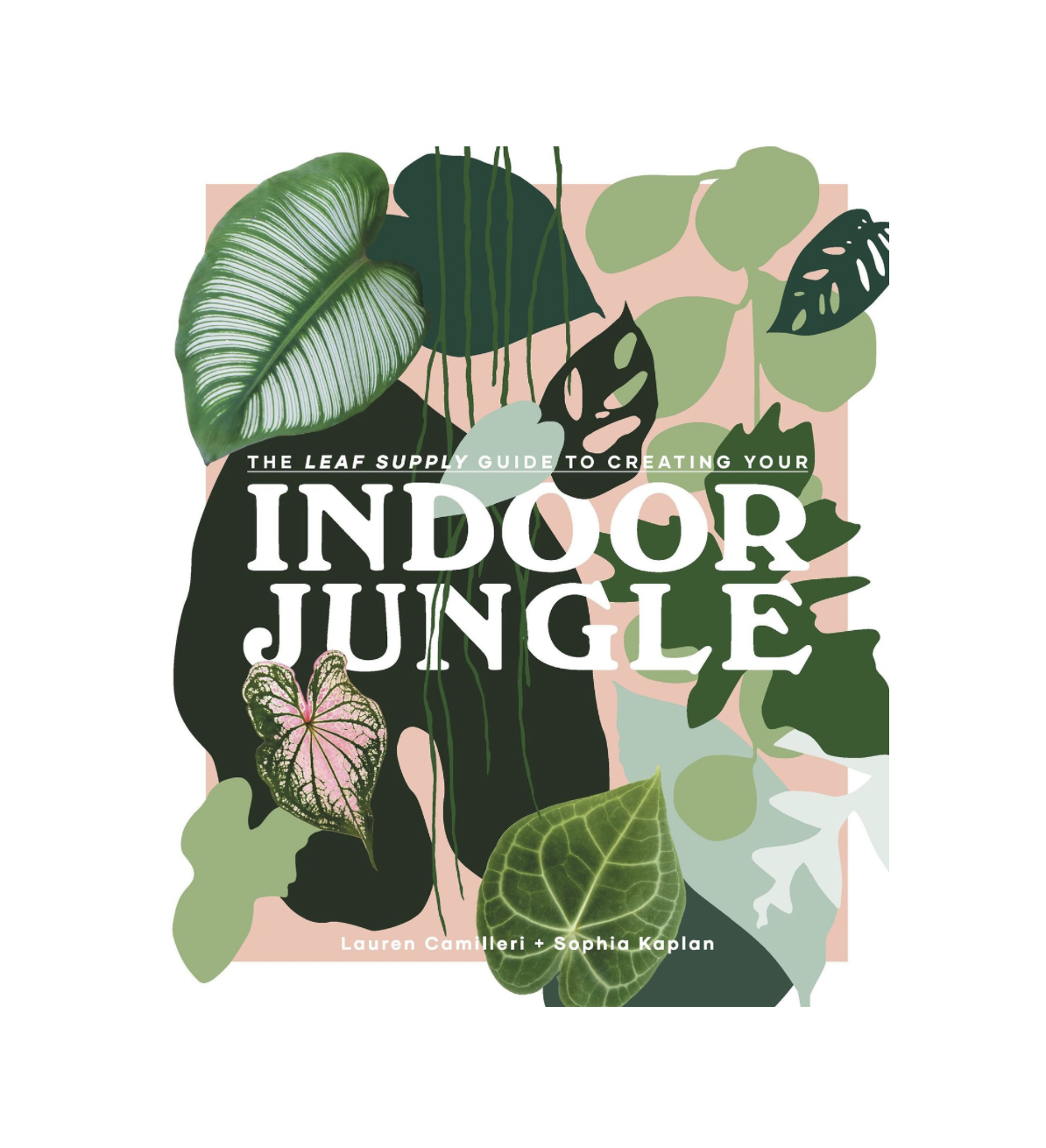 https://www.elodies.au/buy-gifts-elodies-camden-sydney/p/leaf-supply-guide-to-your-indoor-jungle-penguin-books