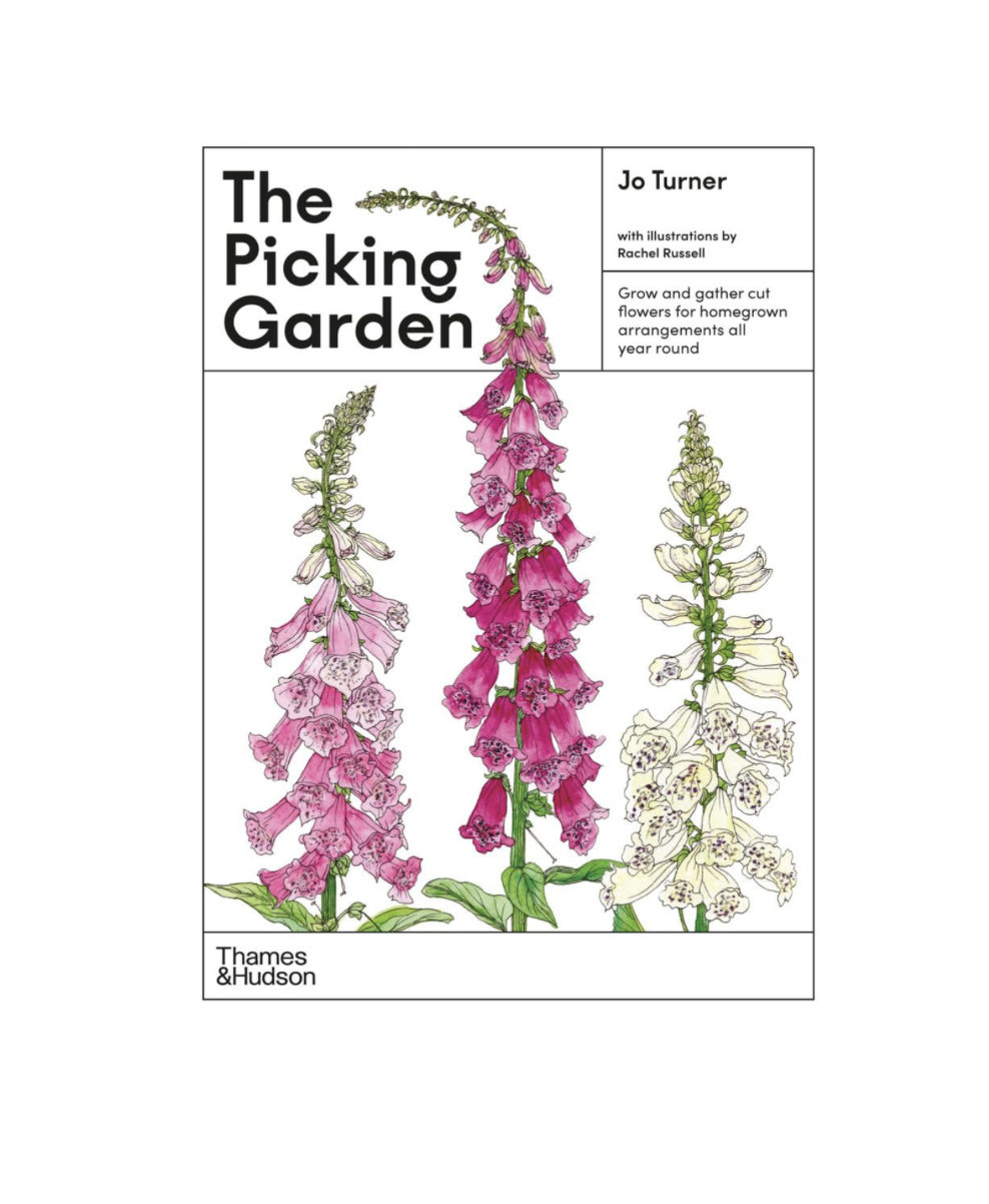 The Picking Garden: An Illustrated Guide
