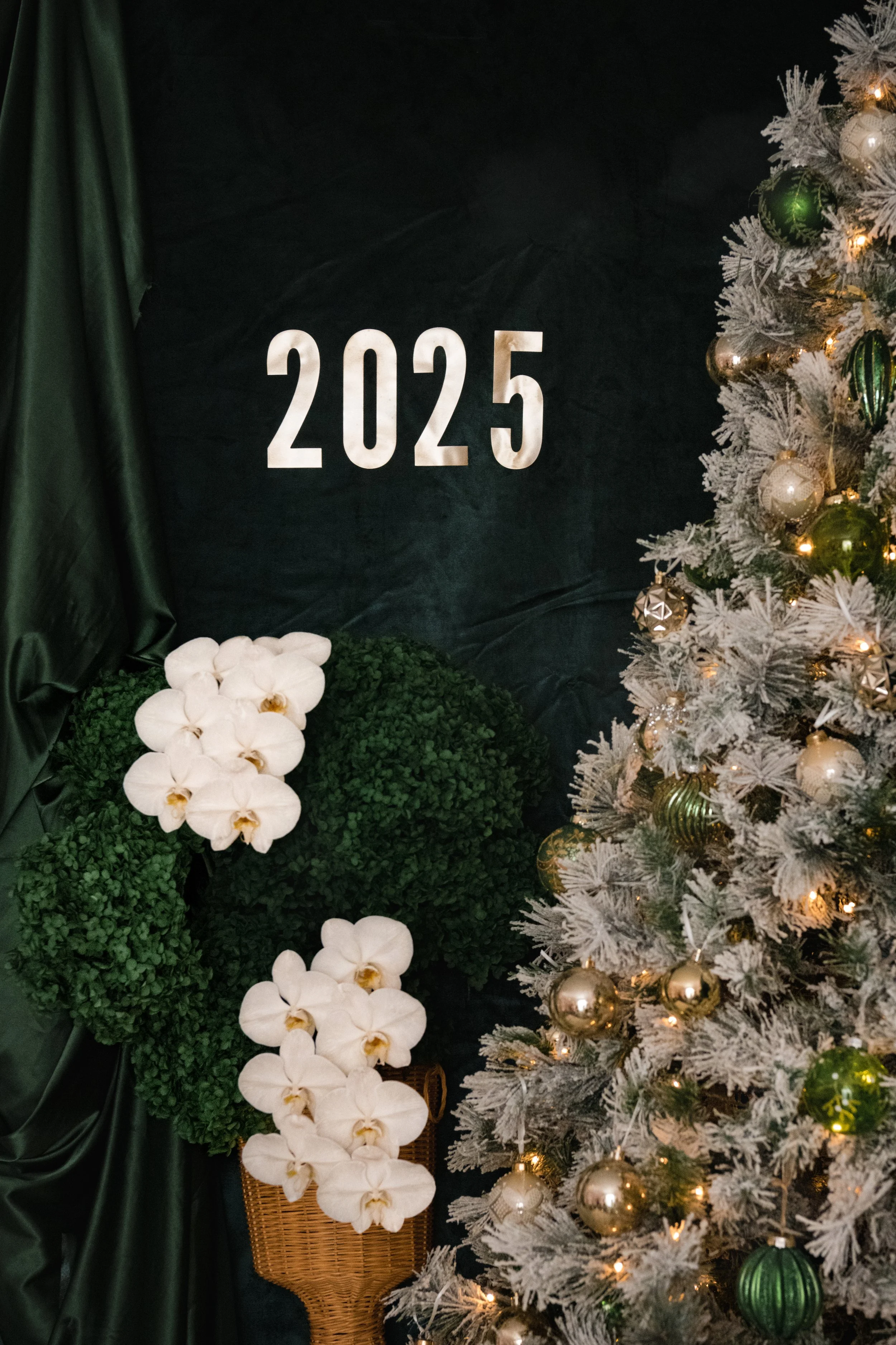                             Santa Photos 2025