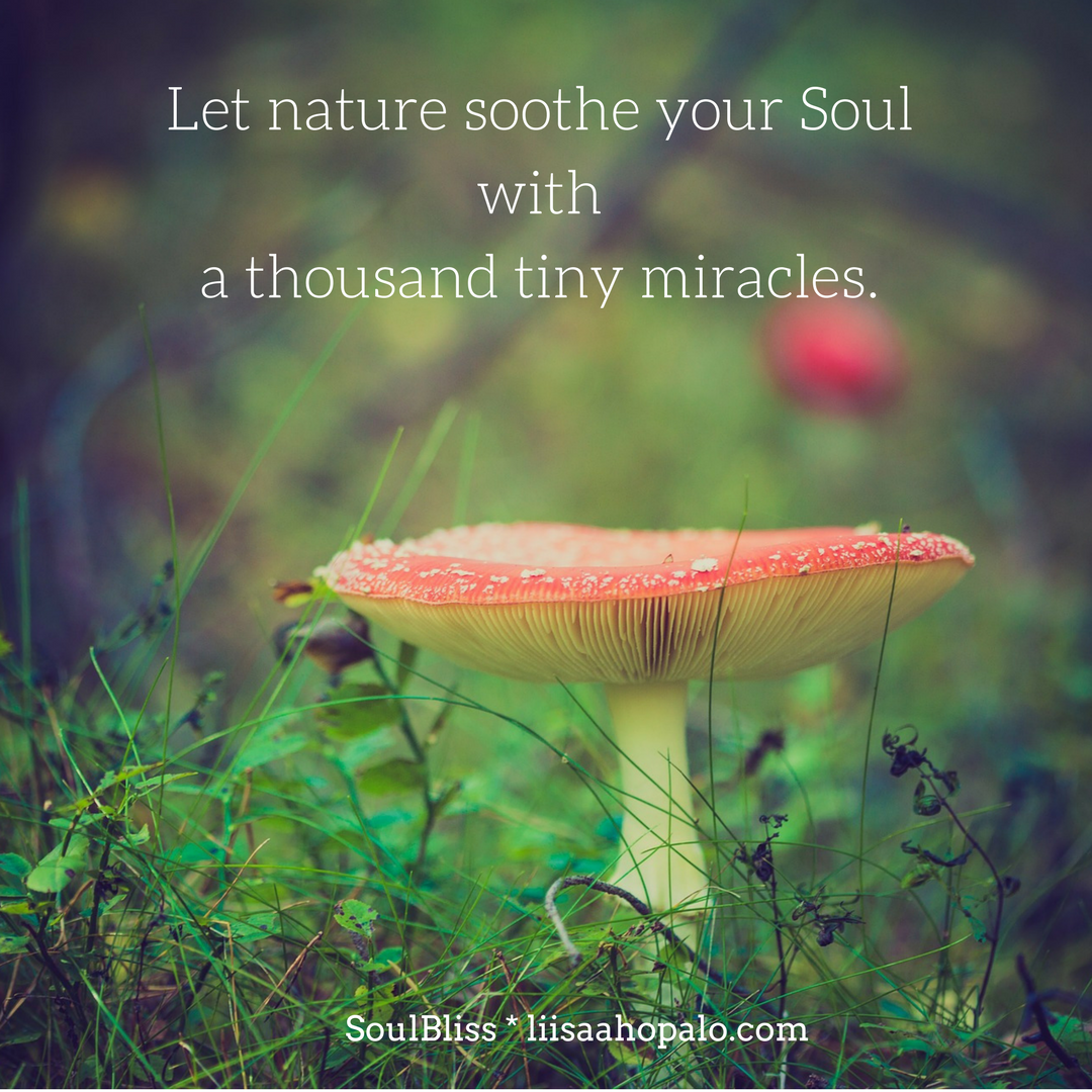 What a joy to walk in natureand wittnessa thousand tiny miracles!.png