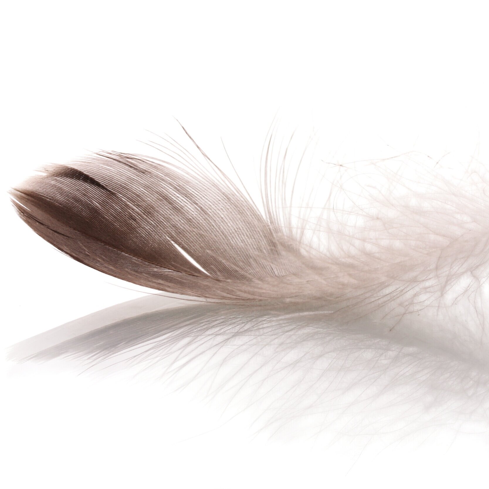shutterstock_102299821.jpg