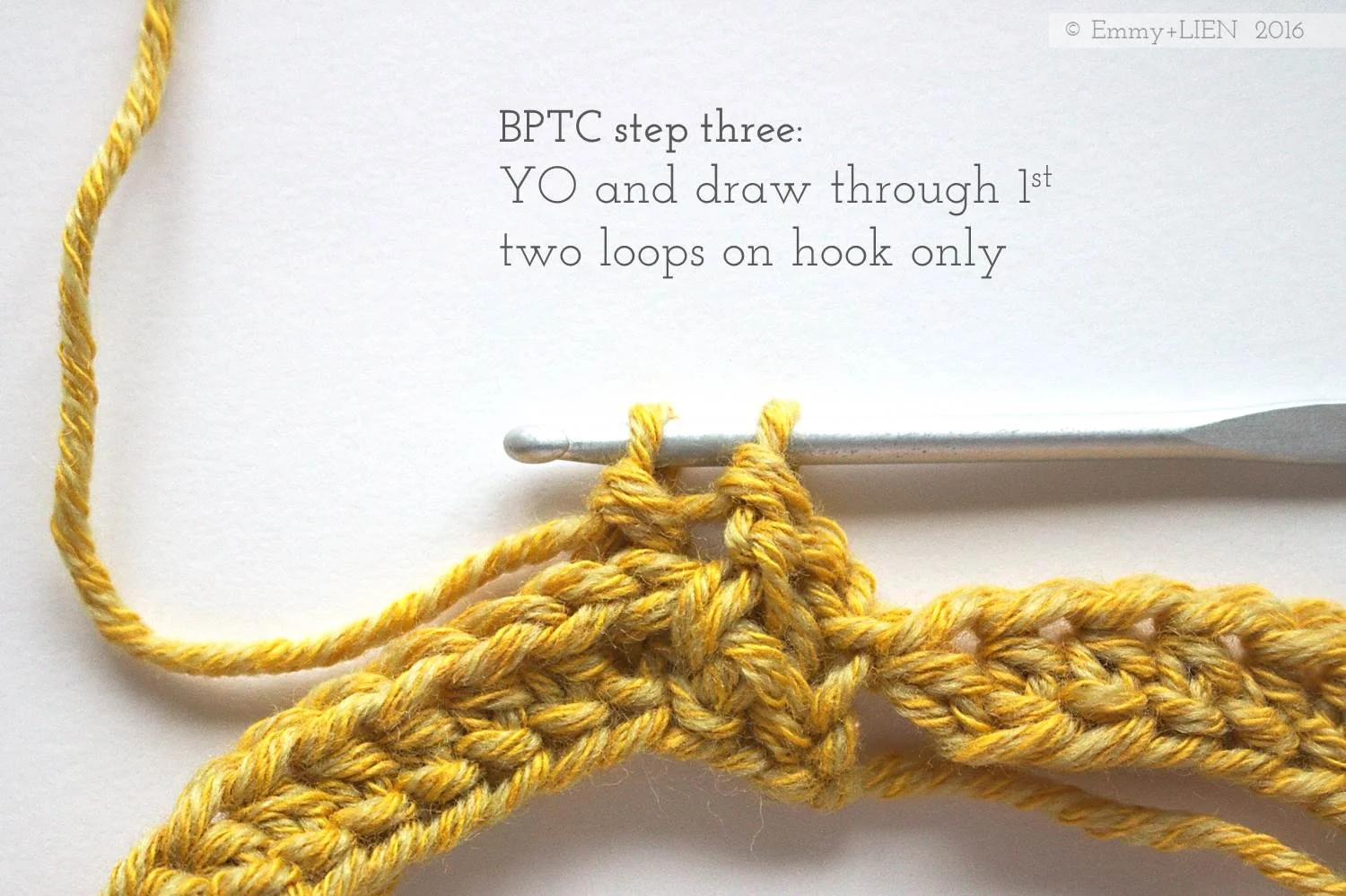 BPTC.step3.jpg