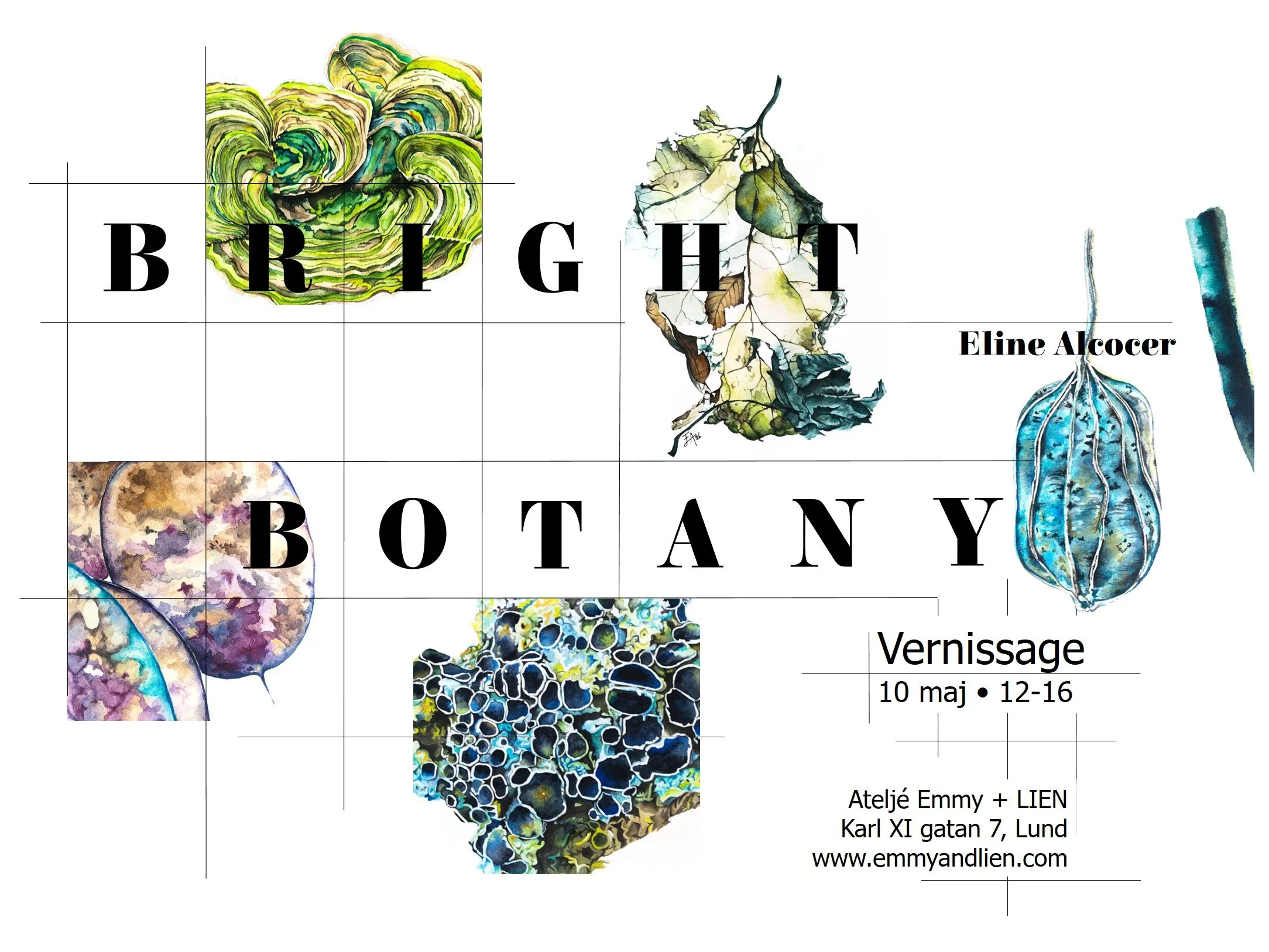 BRIGHT BOTANY | An art exhibition by Eline Alcocer