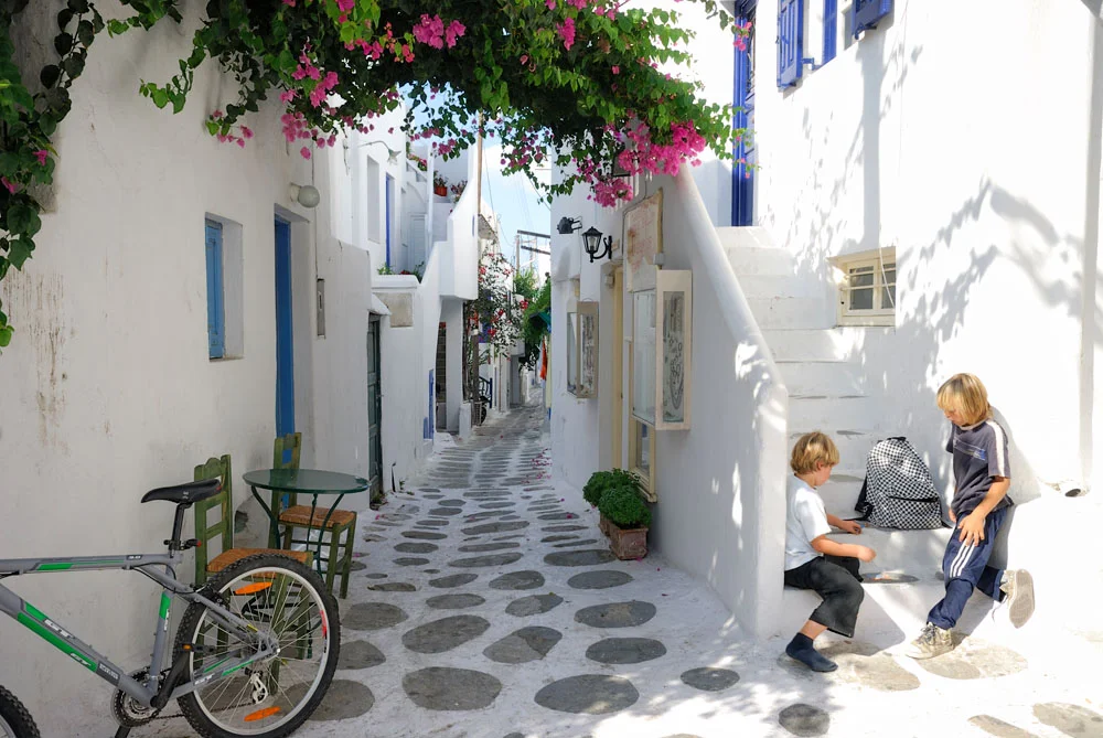 2011 Nikon International Calendar