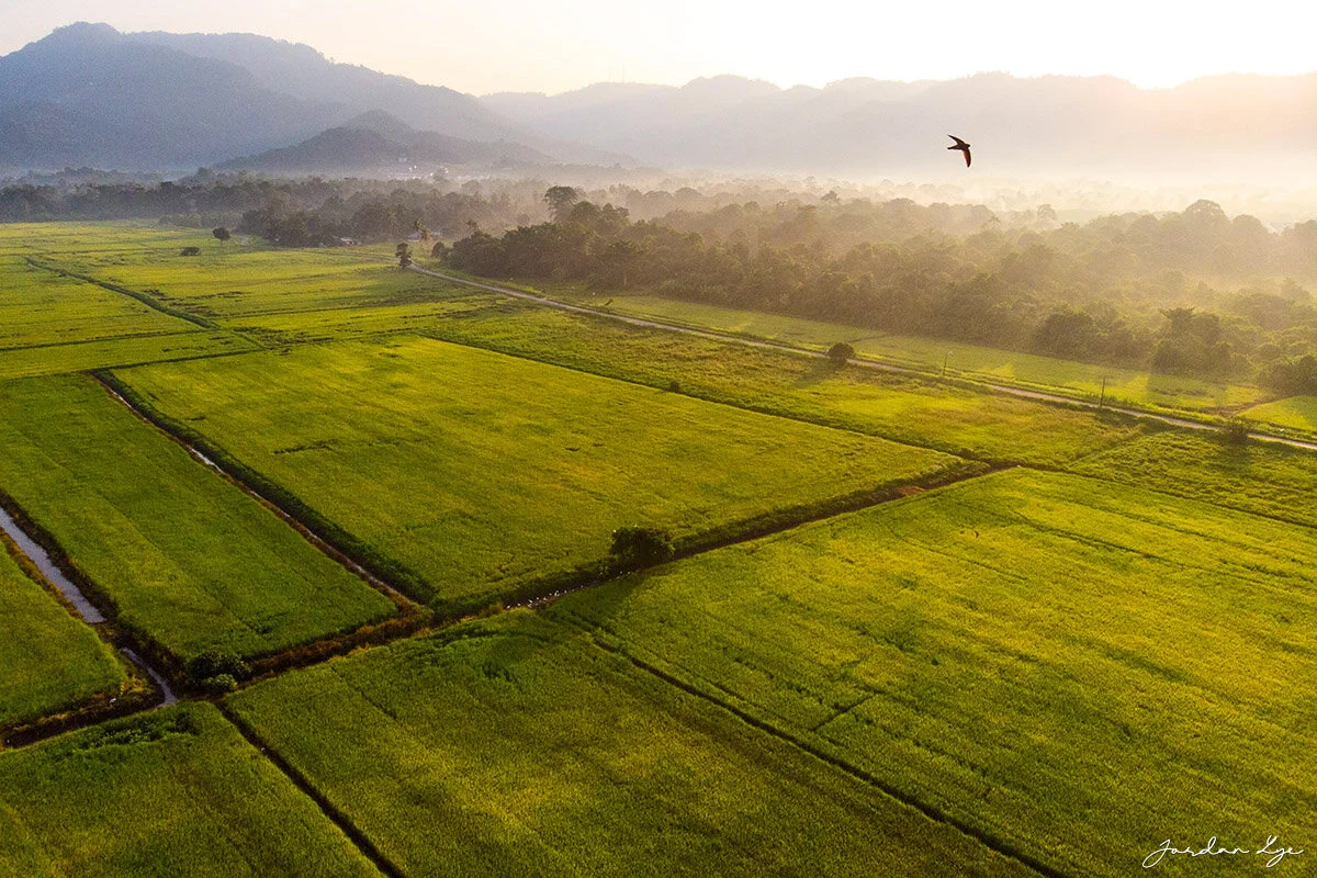 2DJI_0250.jpg
