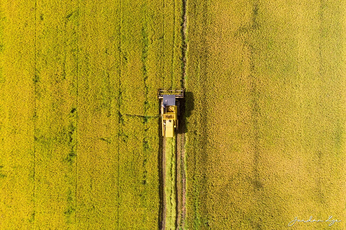 1DJI_0449.jpg