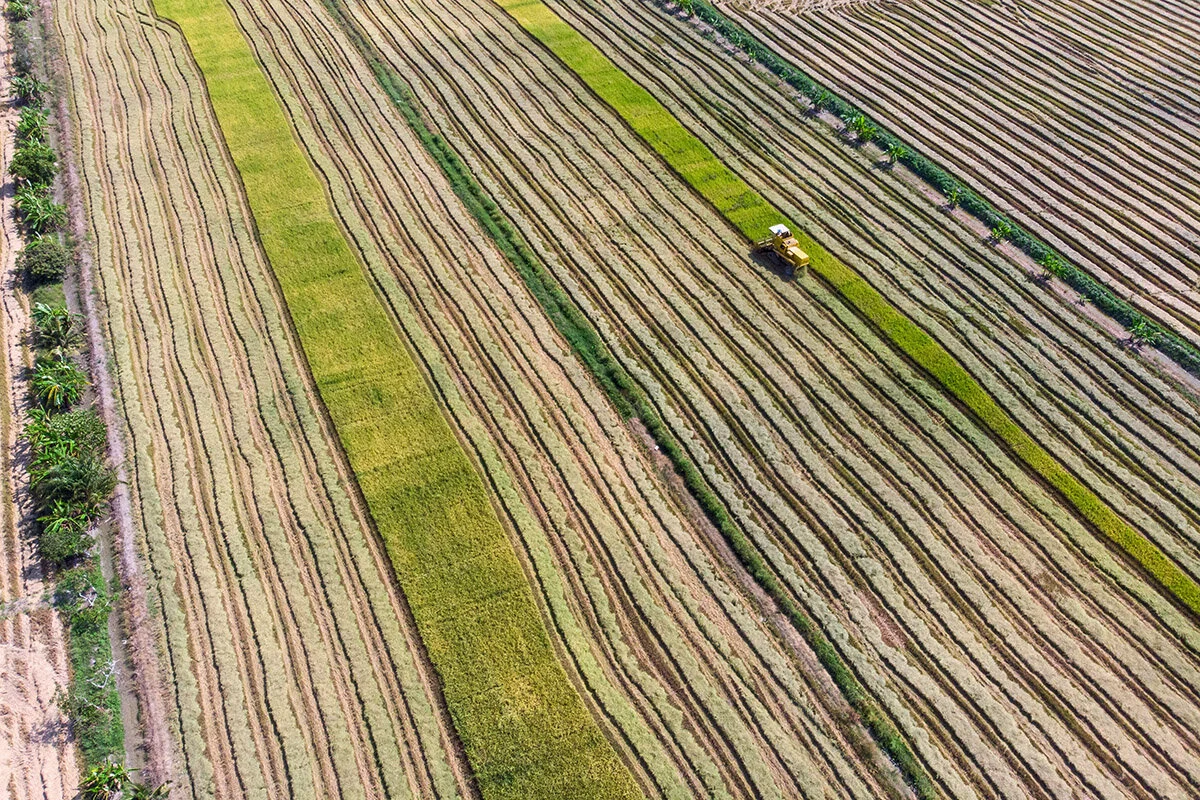 1DJI_0929.jpg