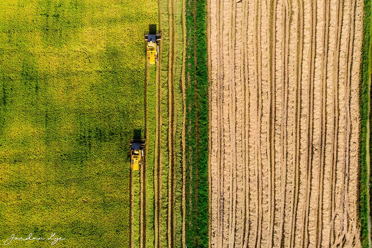 2DJI_0883.jpg