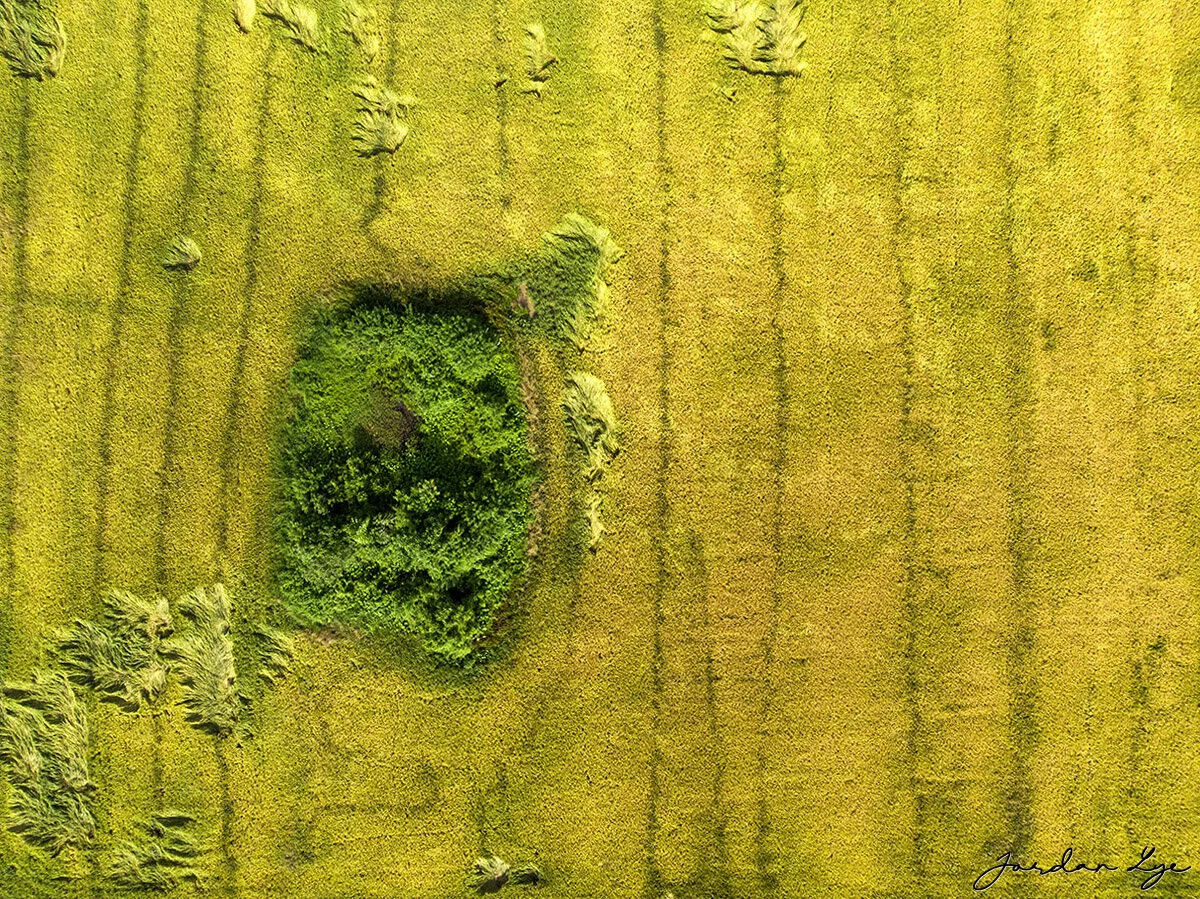 2DJI_0897.jpg