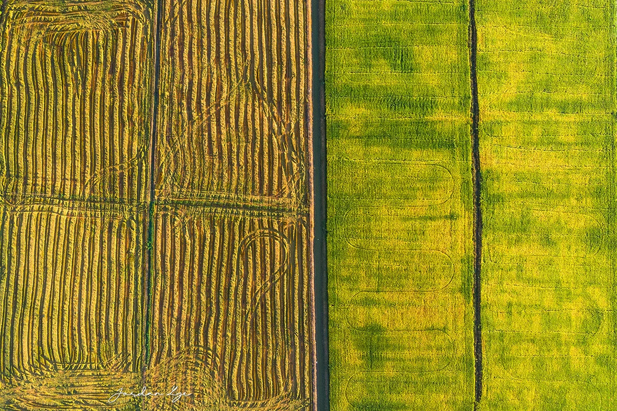 1DJI_0749.jpg