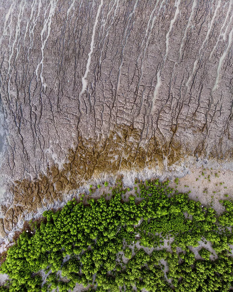 1DJI_0779.jpg