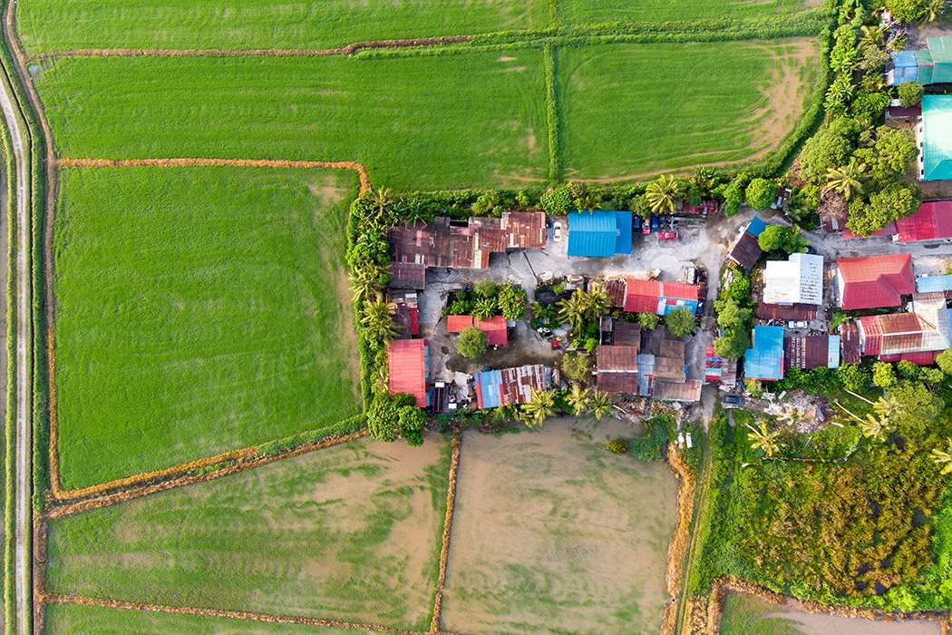 1DJI_0959.jpg