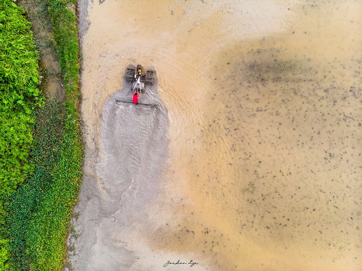 1DJI_0612.jpg