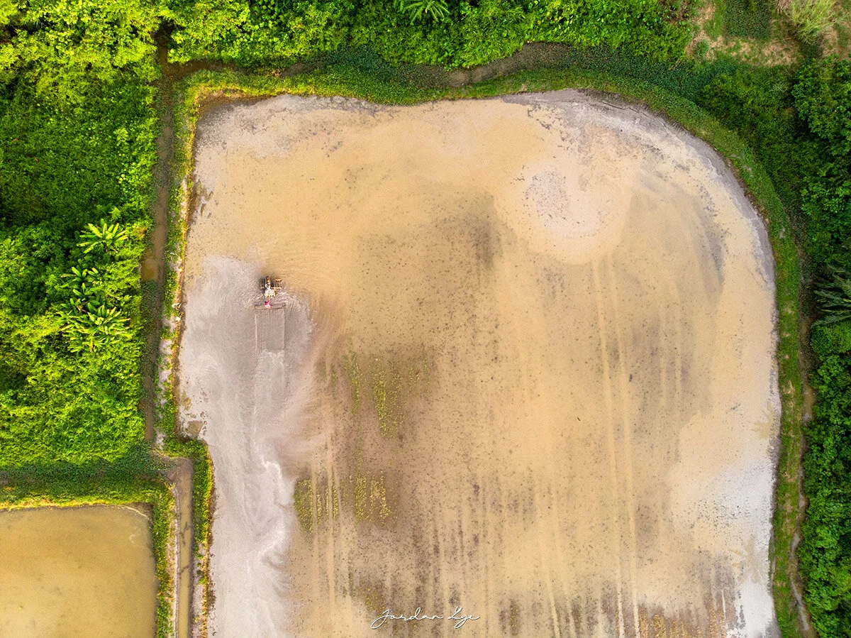 1DJI_0600.jpg