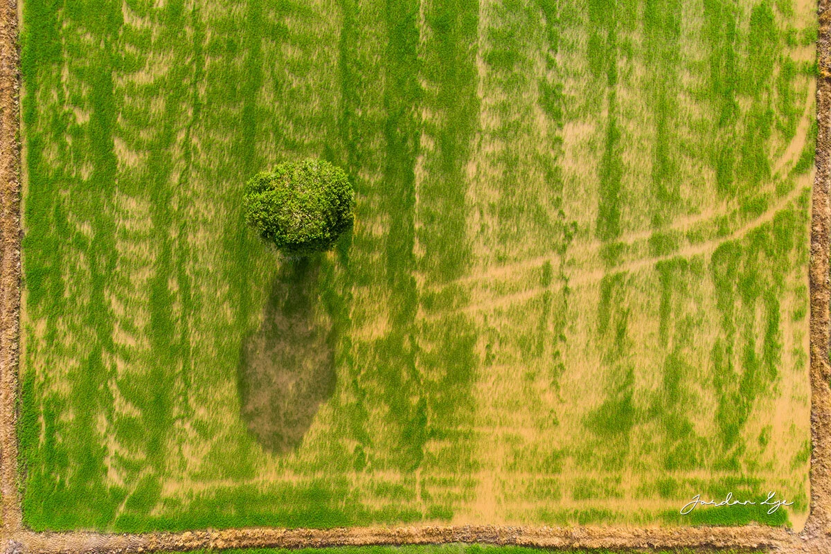 1DJI_0263.jpg