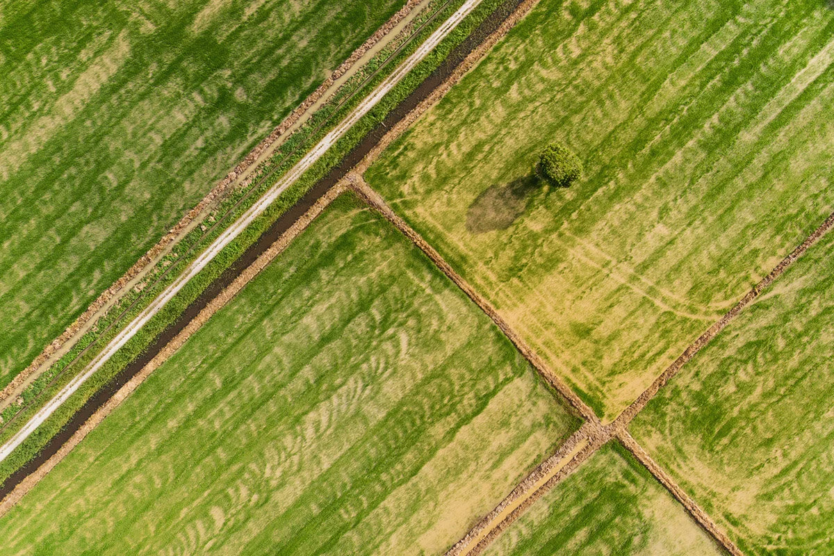 1DJI_0305.jpg