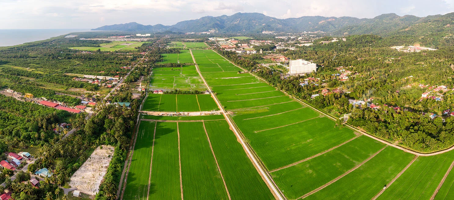 1DJI_0486-HDR-Pano.jpg