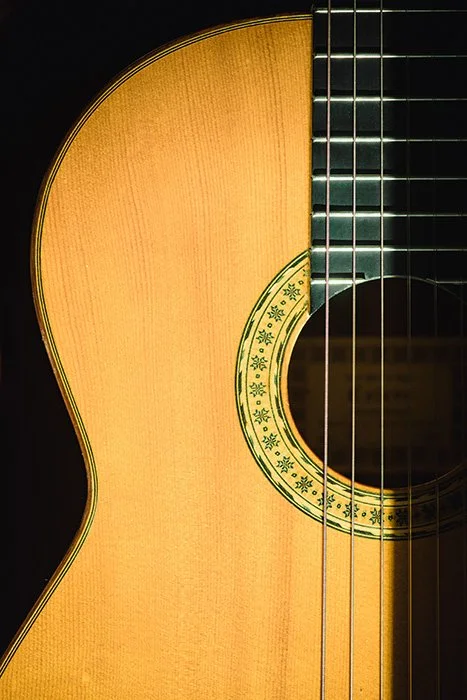 Esteve Model 8 spruce top