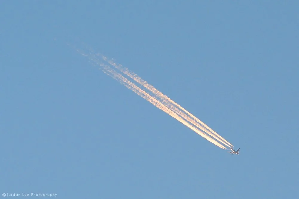 1JOR_9325.jpg