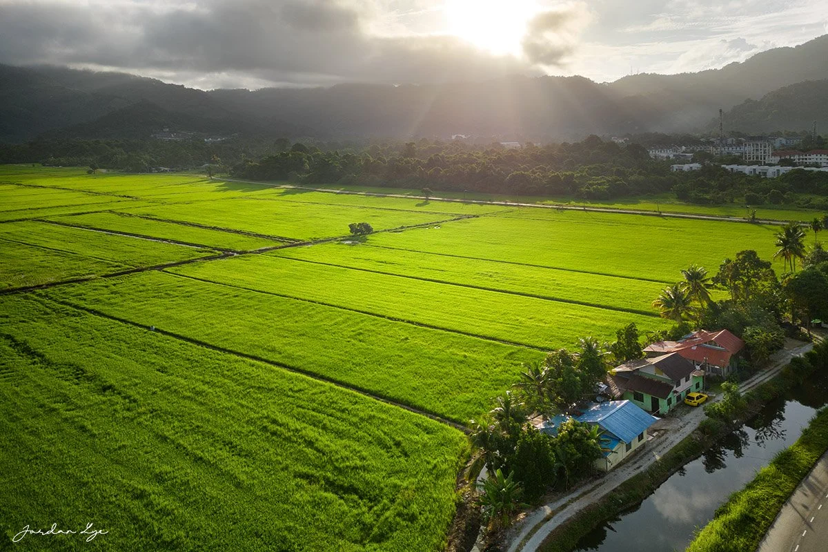 1DJI_0896 copy.jpg